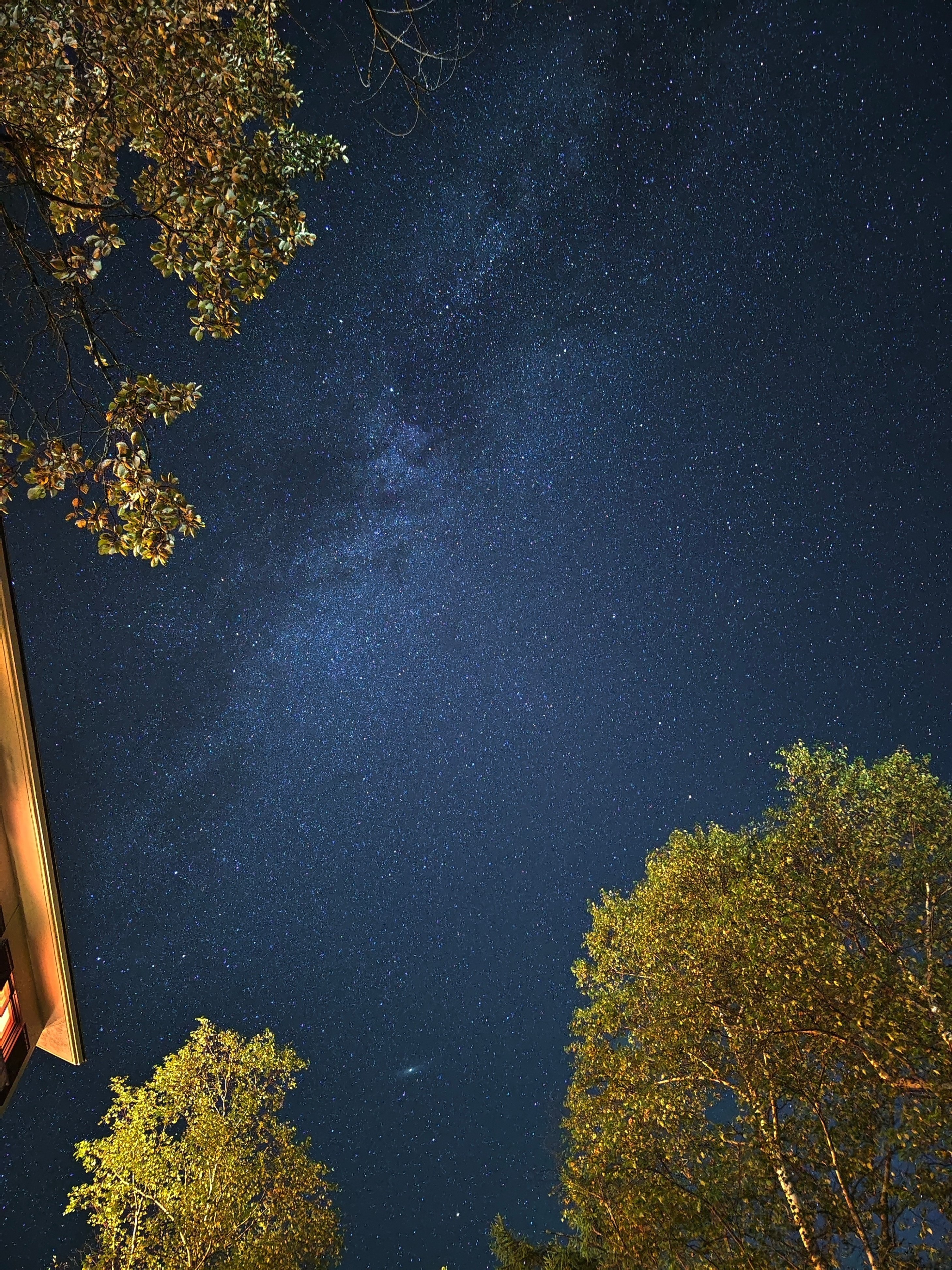 新品！日本語可！Vivo X90 ワールドカップコラボ ブルー  256G 新品！日本語可！Vivo X90 ワールドカップコラボ ブルー 256G 新品