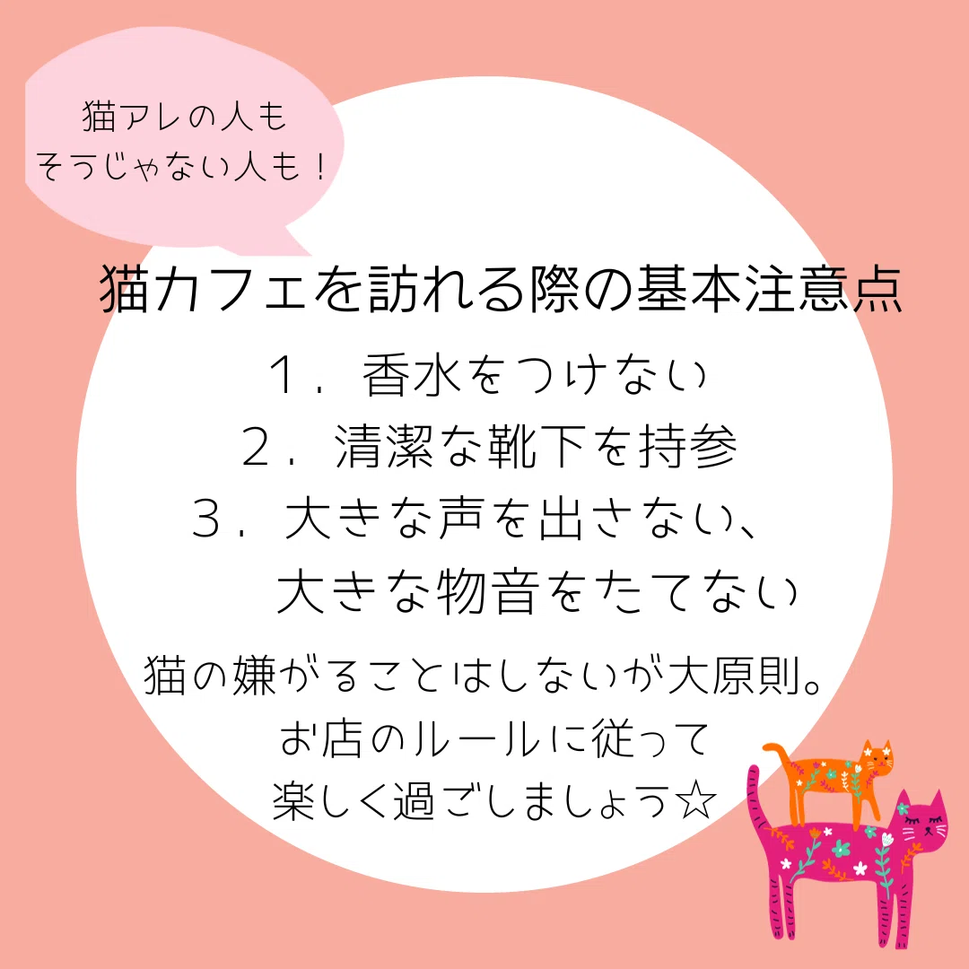 猫 カフェ ルール