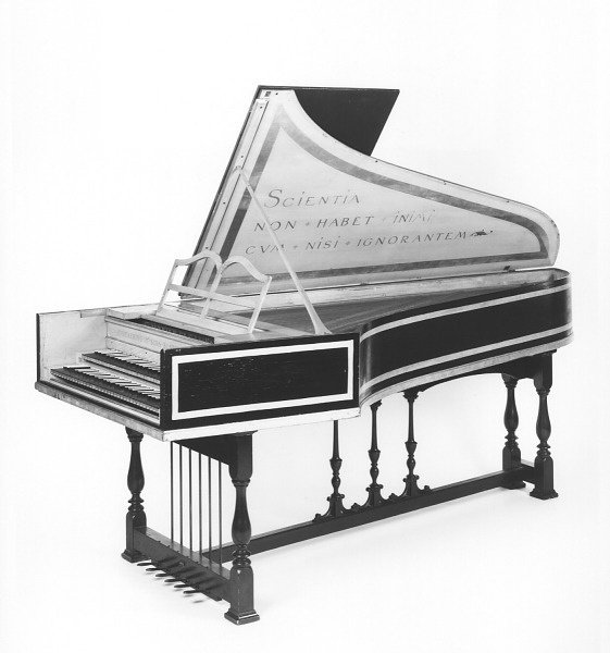 チッカリングの楽器｜Michiyo Honma (本間みち代)