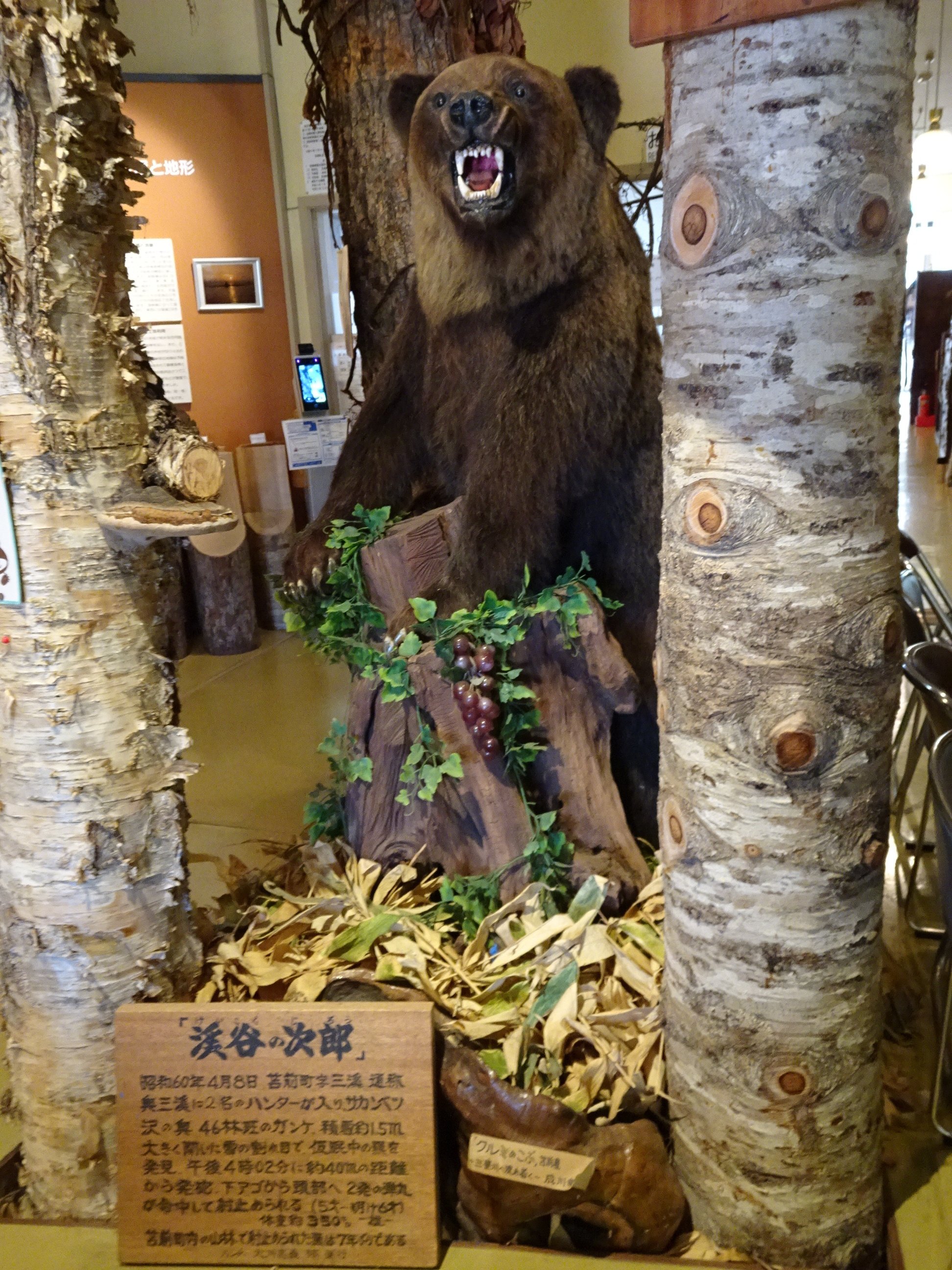 羆の実像 | 門崎 允昭 |本 | 通販 | Amazon
