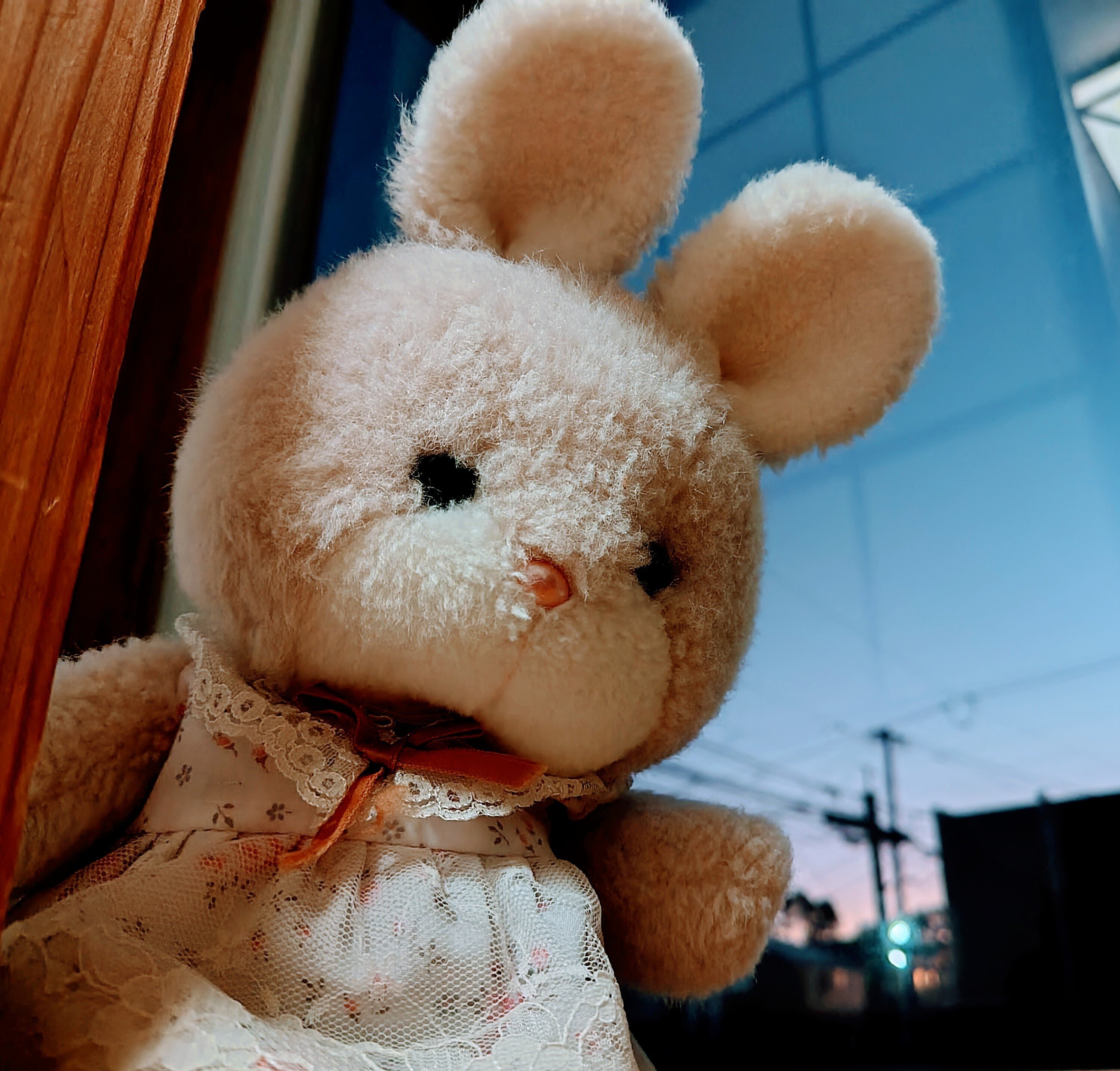 キャンディちゃん ハンドメイド ぬいぐるみ ぬいぐるみをひたすら愛でる＃1｜鈴木コンブ