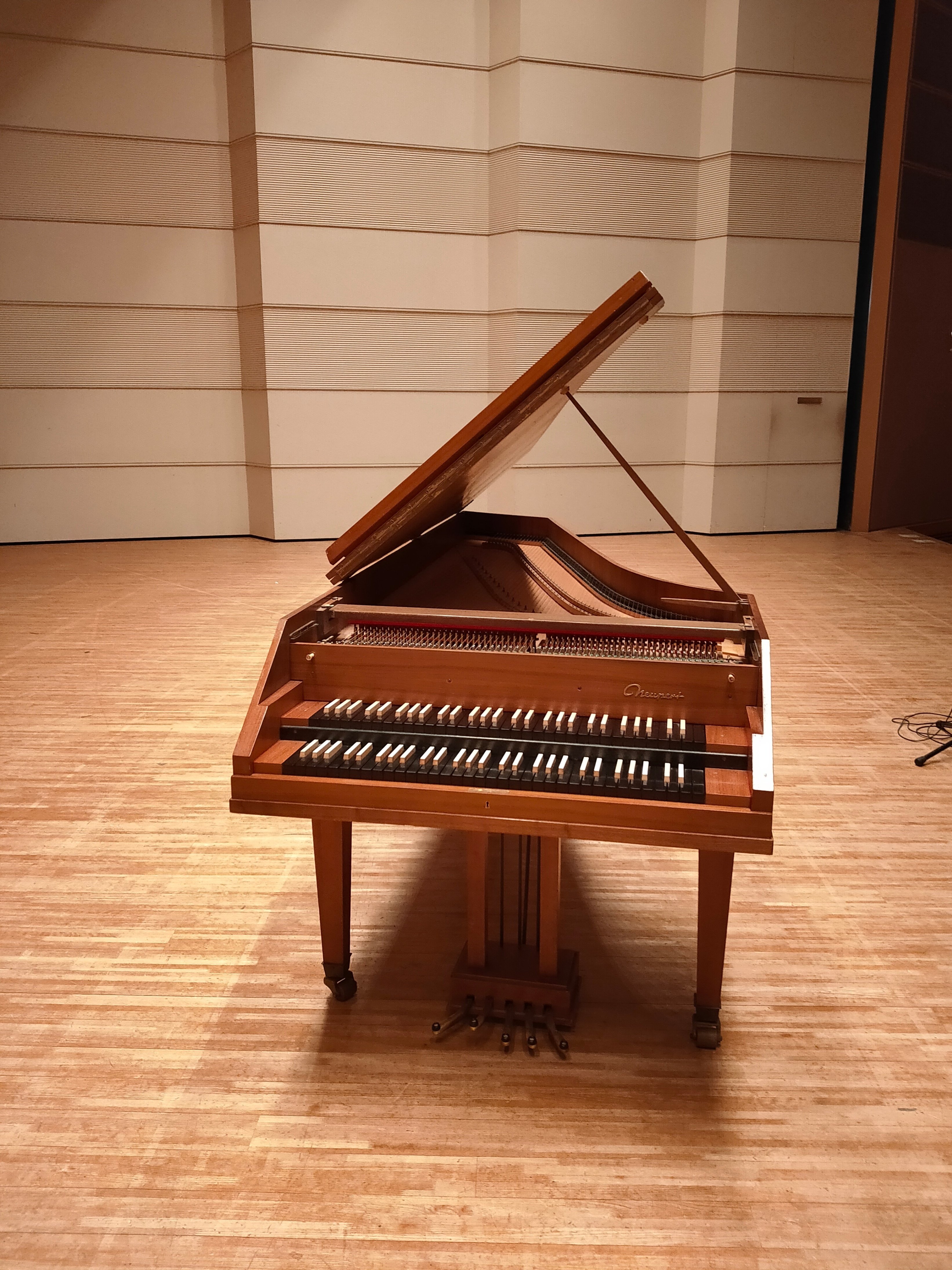 チッカリングの楽器｜Michiyo Honma (本間みち代)