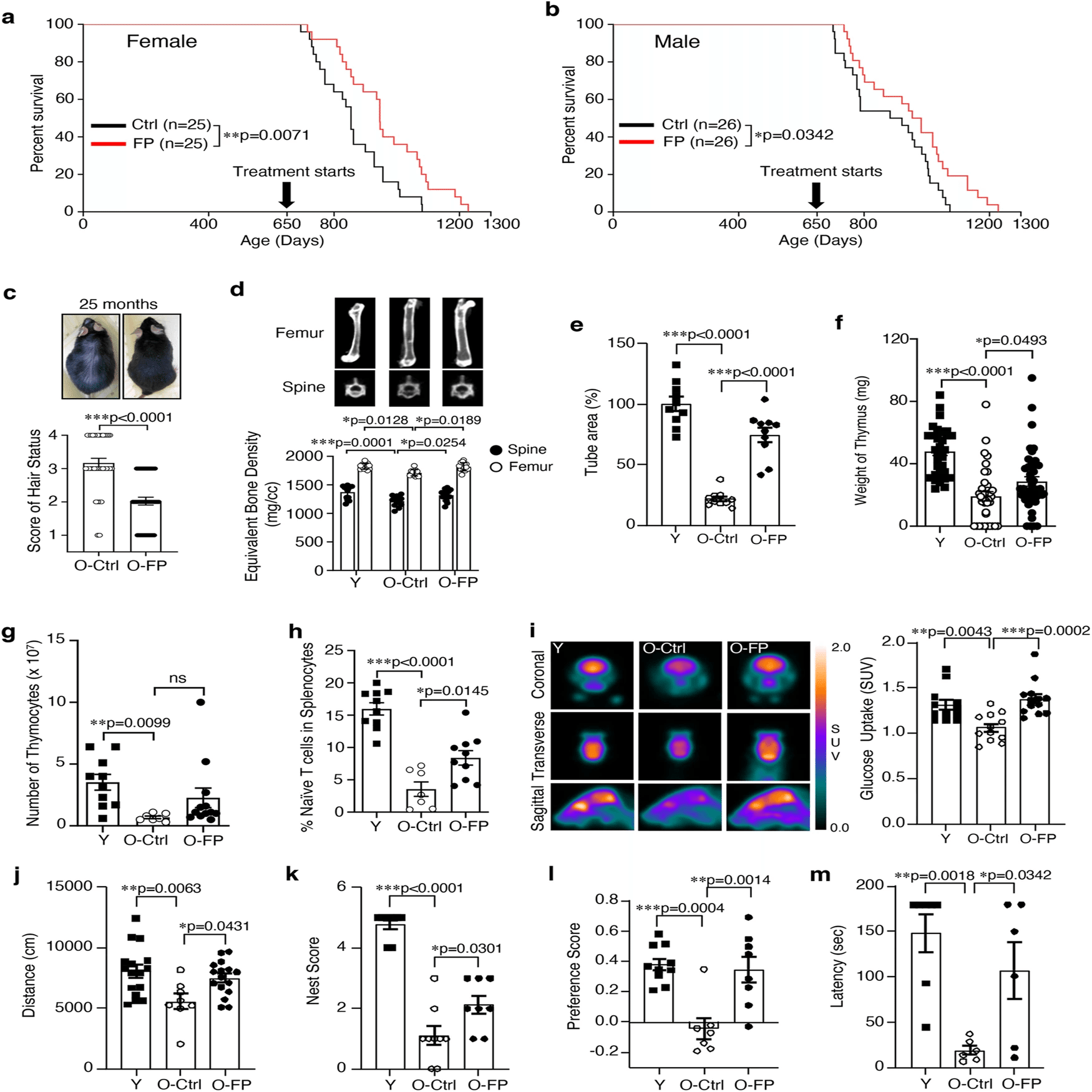 無修正 結合 性交 JK JC 