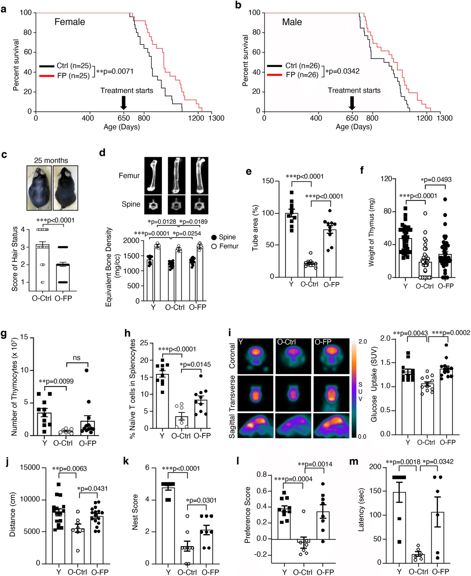 無修正 結合 性交 JK JC