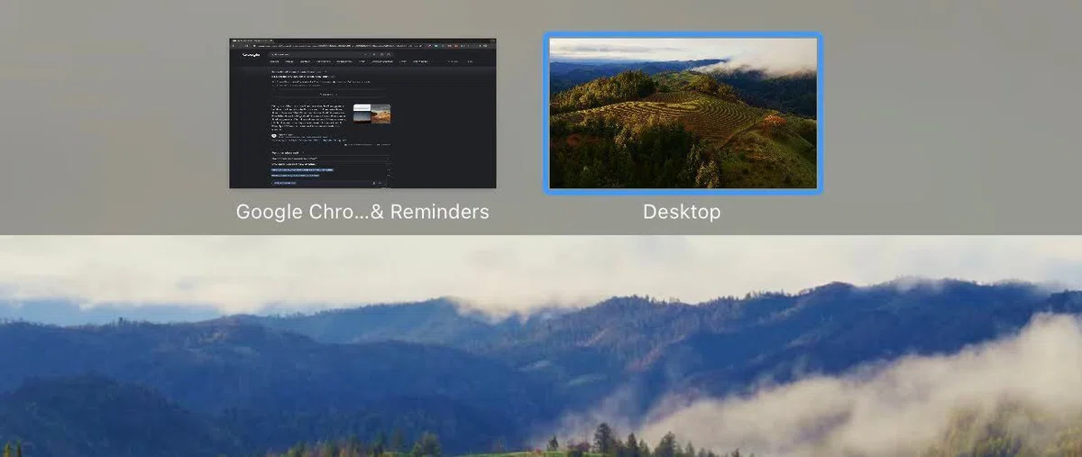 [Former Windows User] How to use Split View on Mac｜Seika_USA