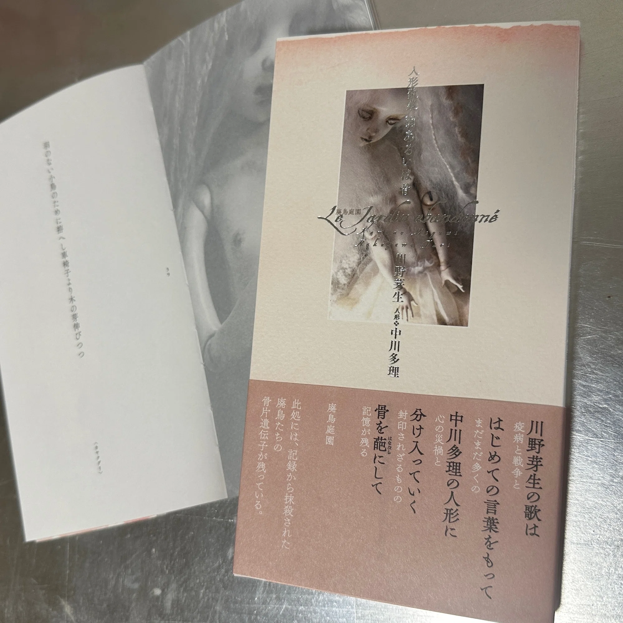 新刊】『人形歌集 羽あるいは骨』 川野芽生／中川多理｜中川多理 Tari 
