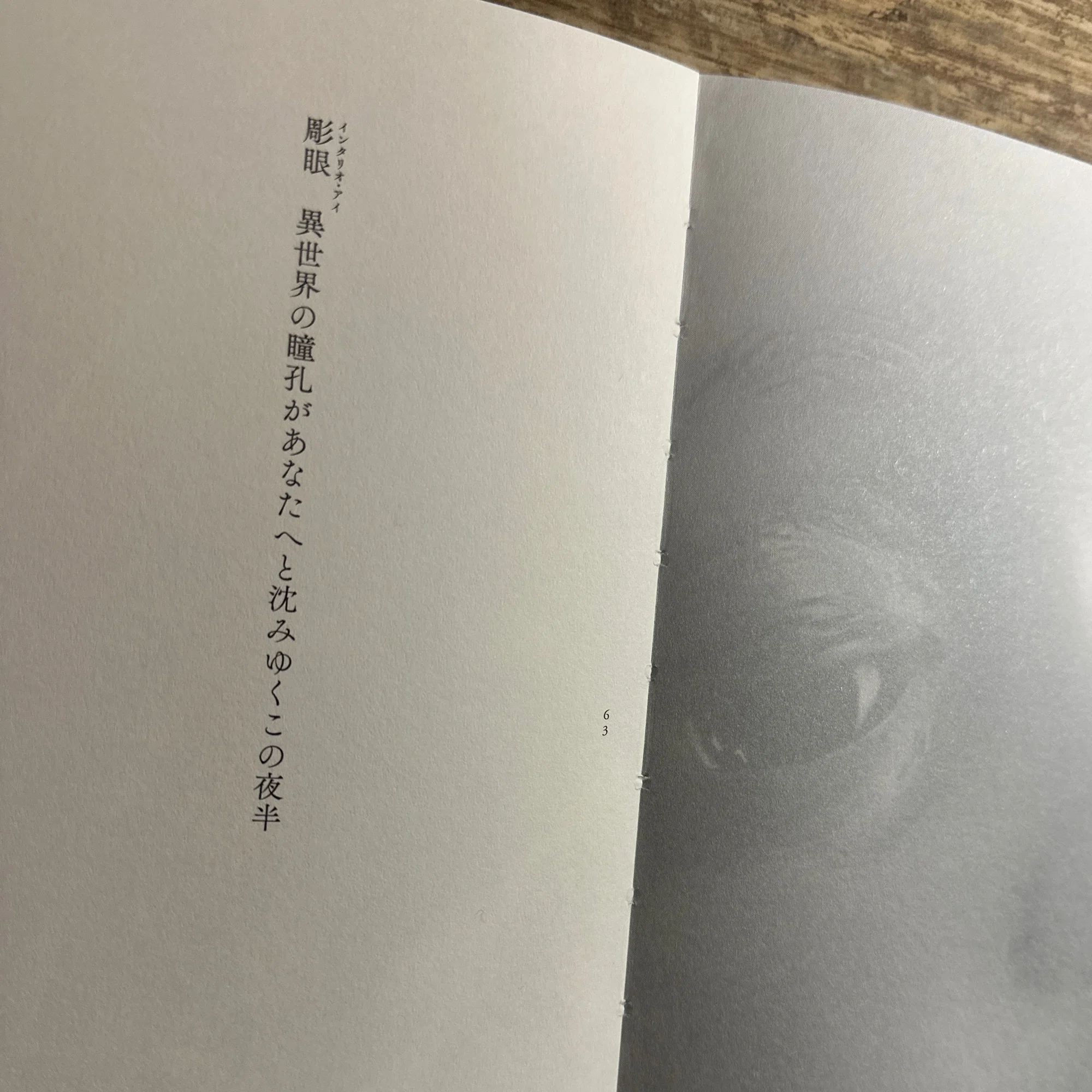 新刊】『人形歌集 羽あるいは骨』 川野芽生／中川多理｜中川多理 Tari 