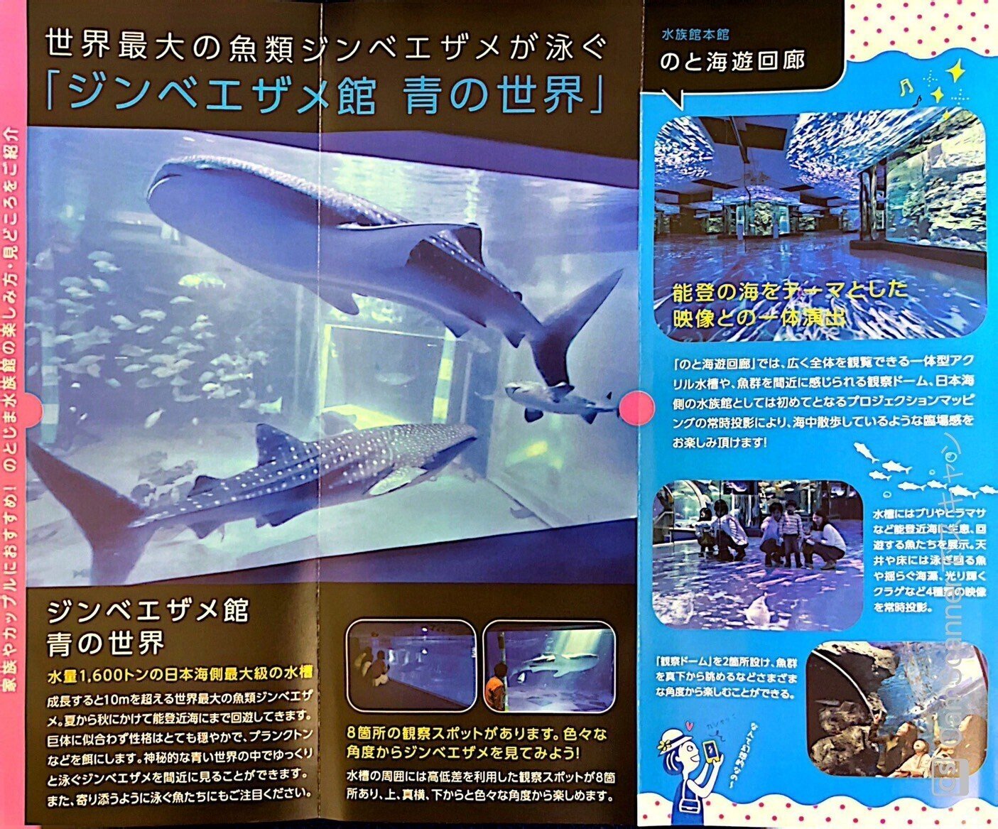 レポ#58 のとじま水族館｜haru