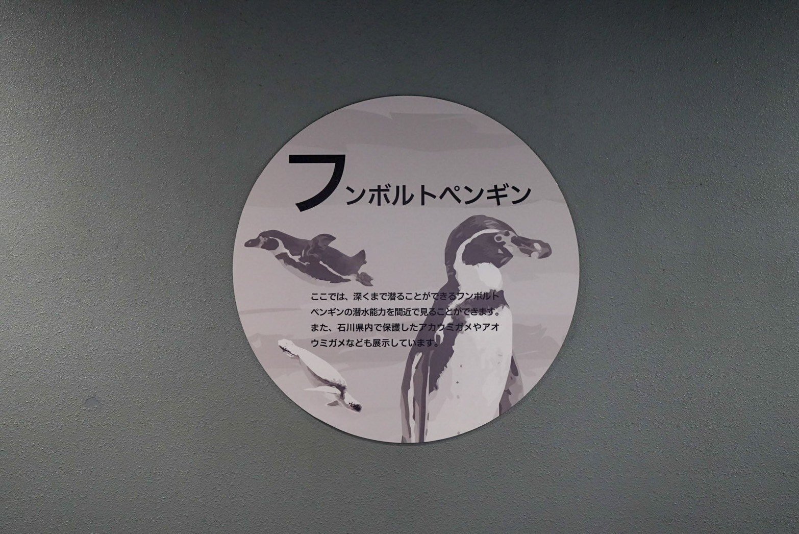 レポ#58 のとじま水族館｜haru