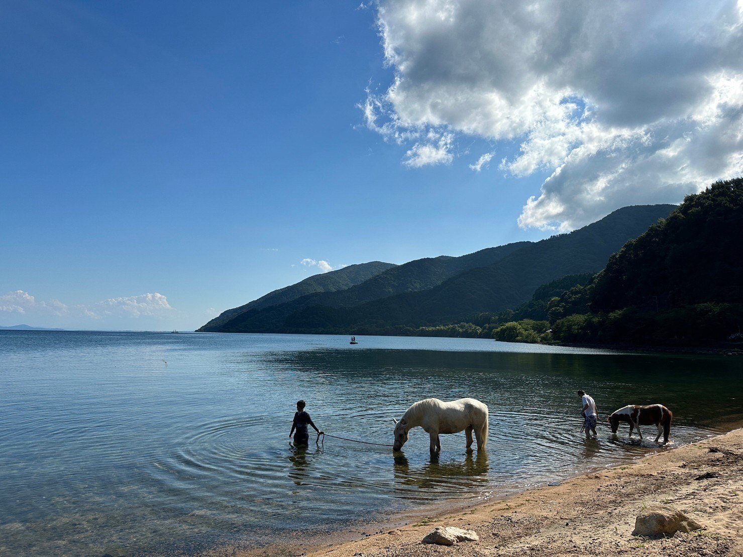 幸せは感じるもの」馬と暮らす、星の馬WORKSの隅田あおいさんに突撃