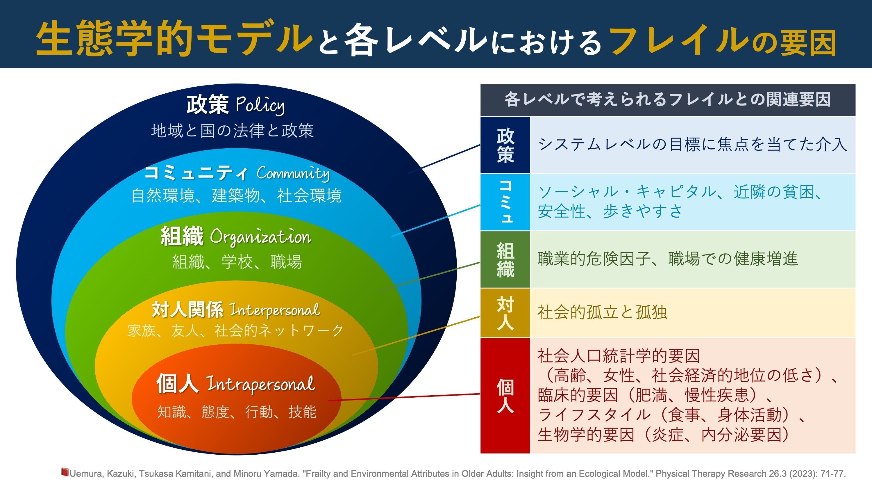 生態学的モデルで,フレイル要因を整理しよう｜Super Human | 理学療法