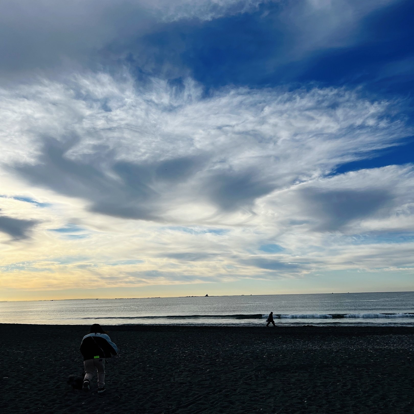 無修正ドルフィンライブ奥様 