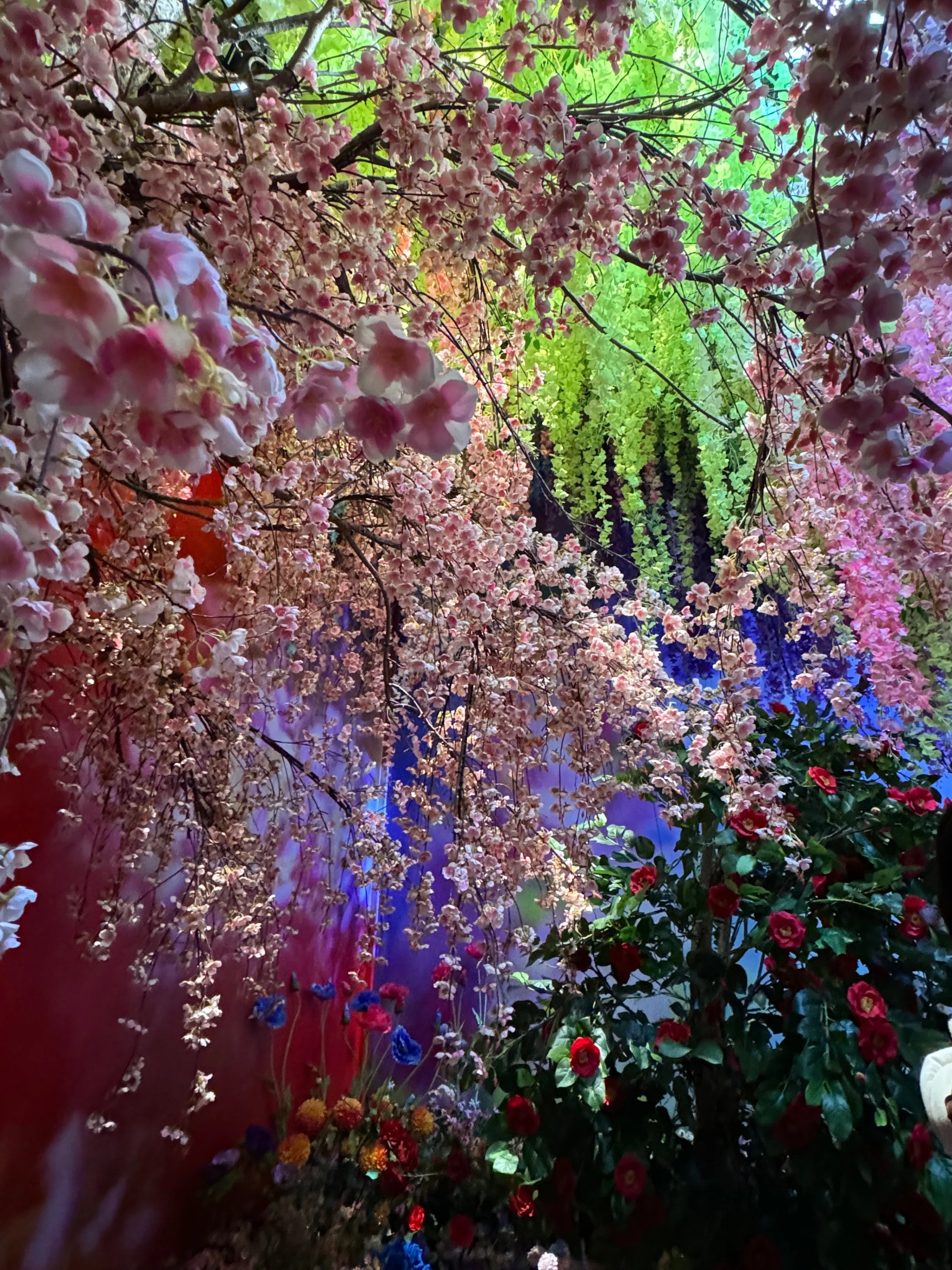 2024年1月 蜷川実花展に行ってきました【虎ノ門ビルズ】｜しりああそ
