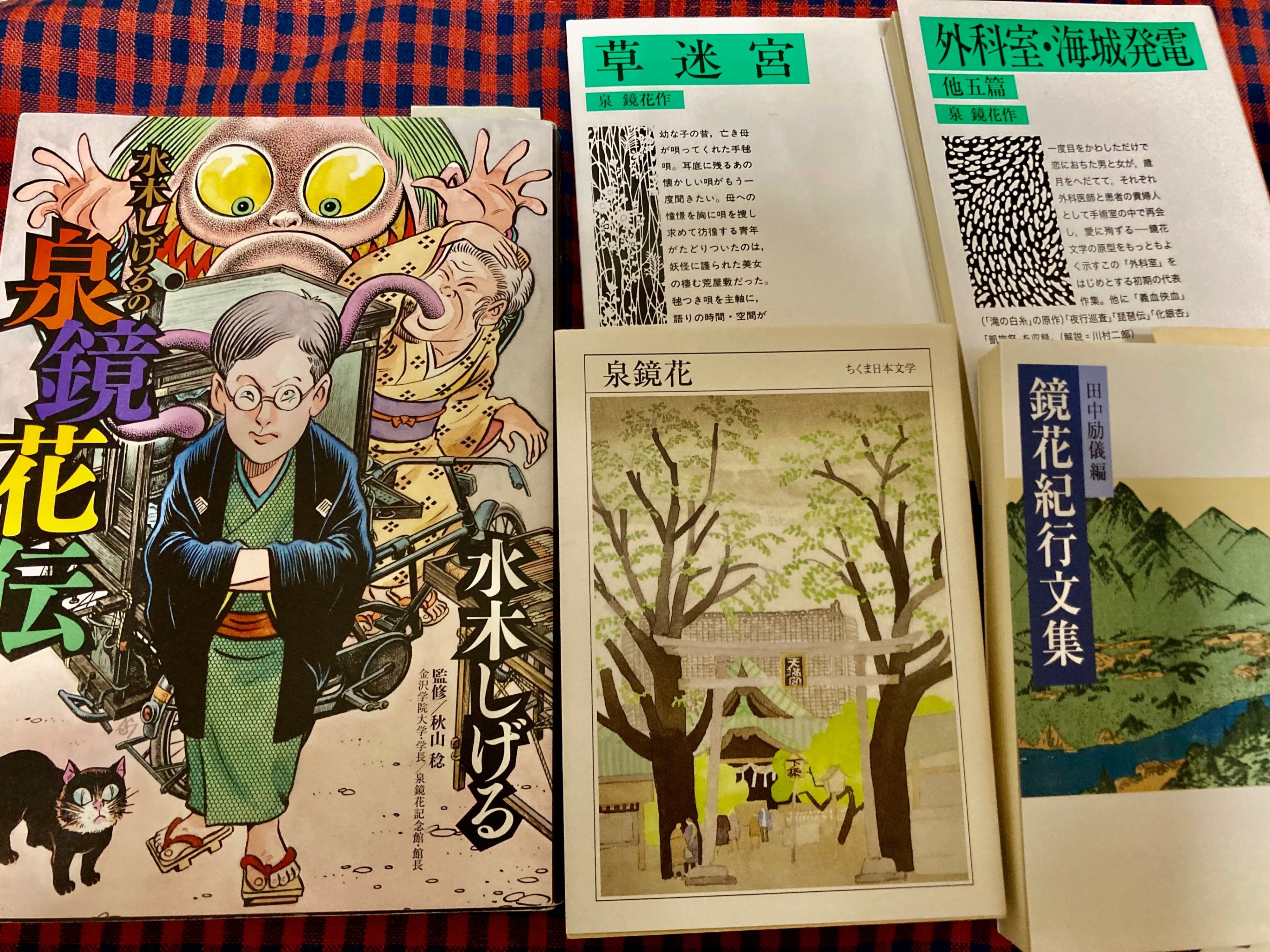 読書note: 2023年振り返り＜泉鏡花編①＞｜ayaka