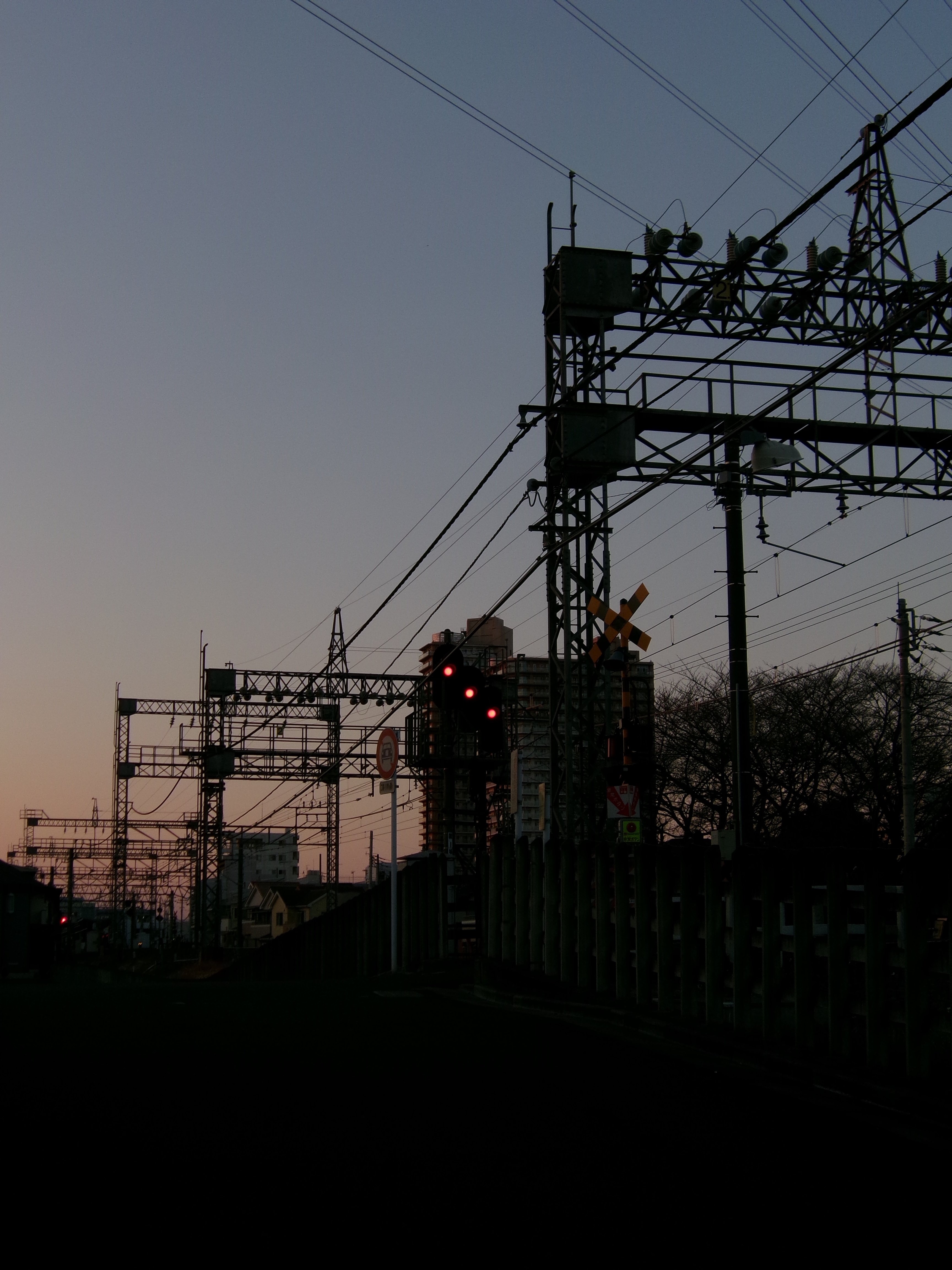 KODAK PIXPRO FZ45」と撮り歩いた写真｜ナイトゥ