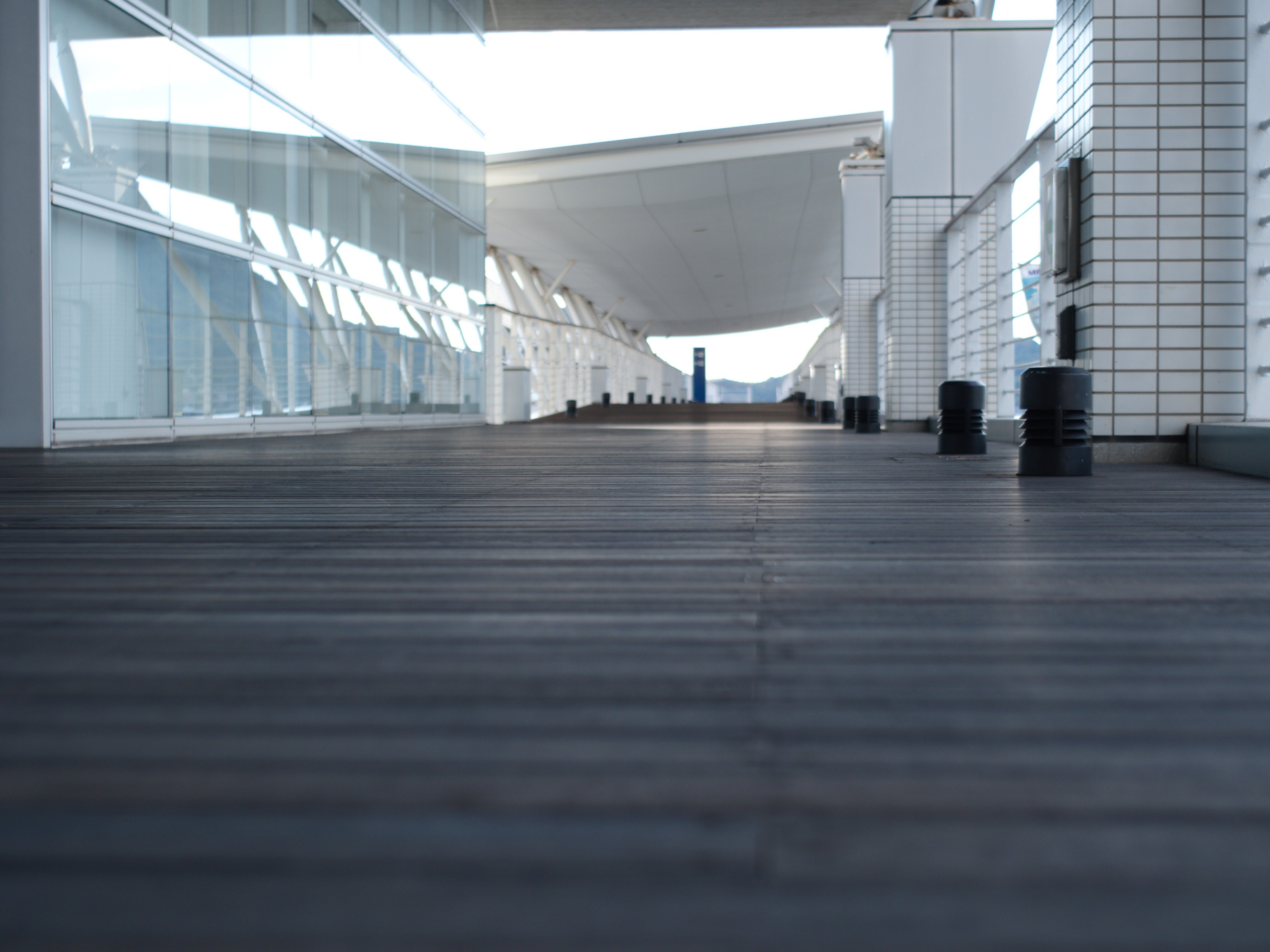 レンズ沼あれこれ：AUTO Vivitar WIDE-ANGLE 35mm f2.8｜ひっくすK