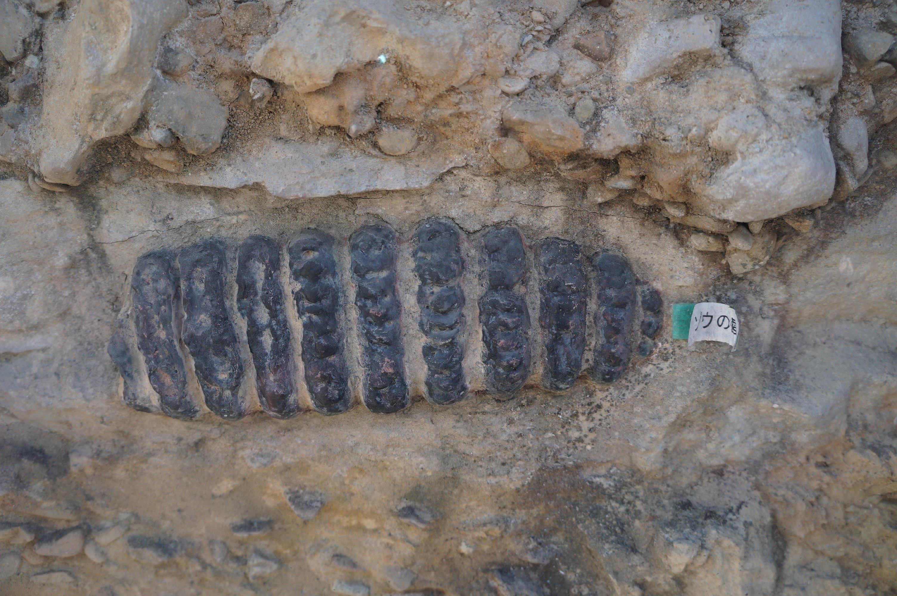 コニカミノルタサイエンスドーム（八王子市こども科学館）と北浅川