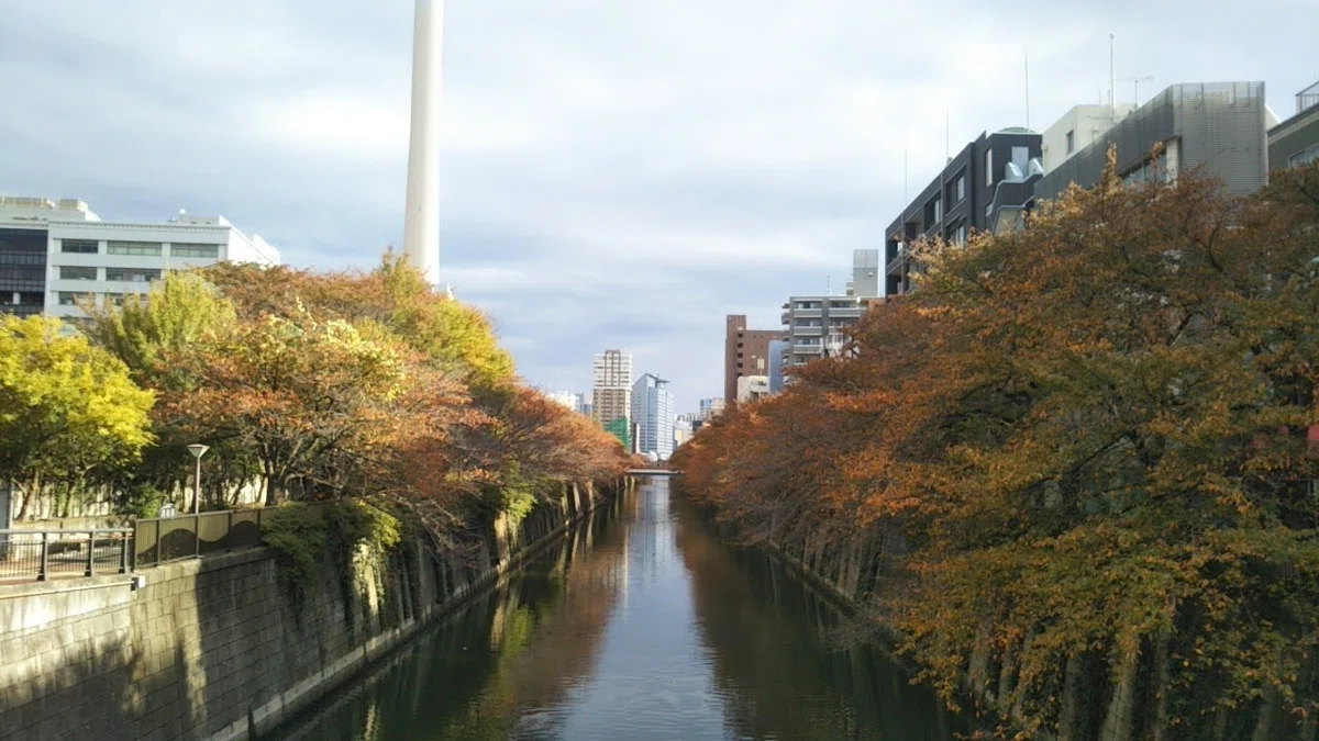 東京 目黒区