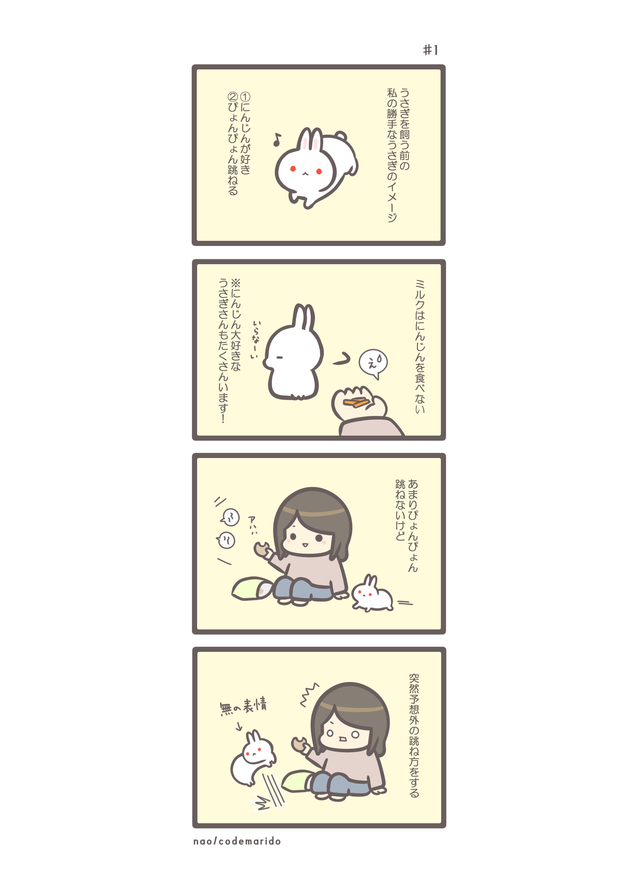 うさぎ4コマ漫画】♯1 うさぎのイメージ｜nao/うさぎ好きなイラスト作家