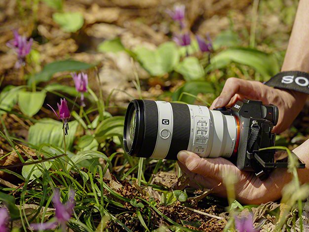 SONY FE 70-200mm F4 Macro G OSS IIレンタル:9年の時を経て得 SONY FE 70-200mm F4 Macro G OSS IIレンタル:9年の時を経て得