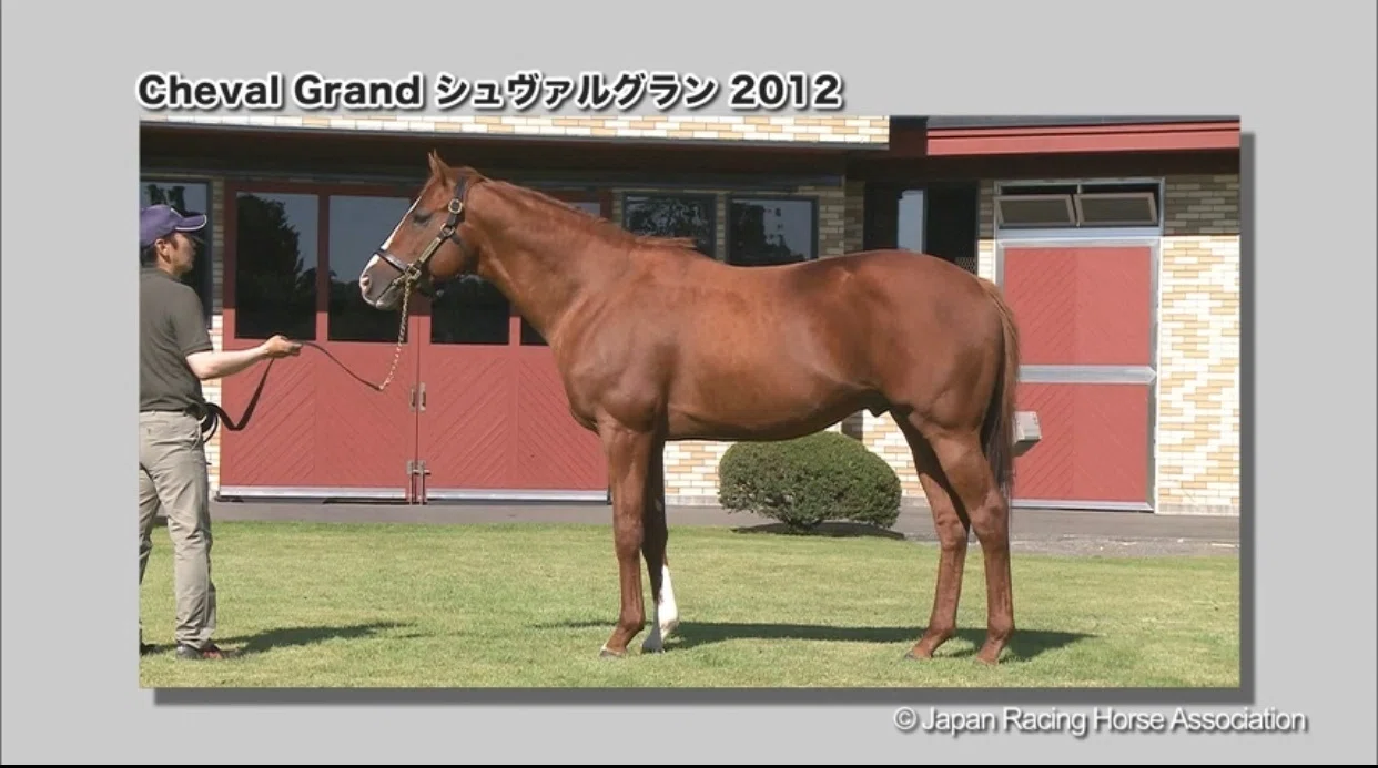 シュヴァルグラン産駒の選び方｜えむげ