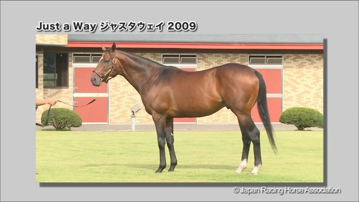シュヴァルグラン産駒の選び方｜えむげ