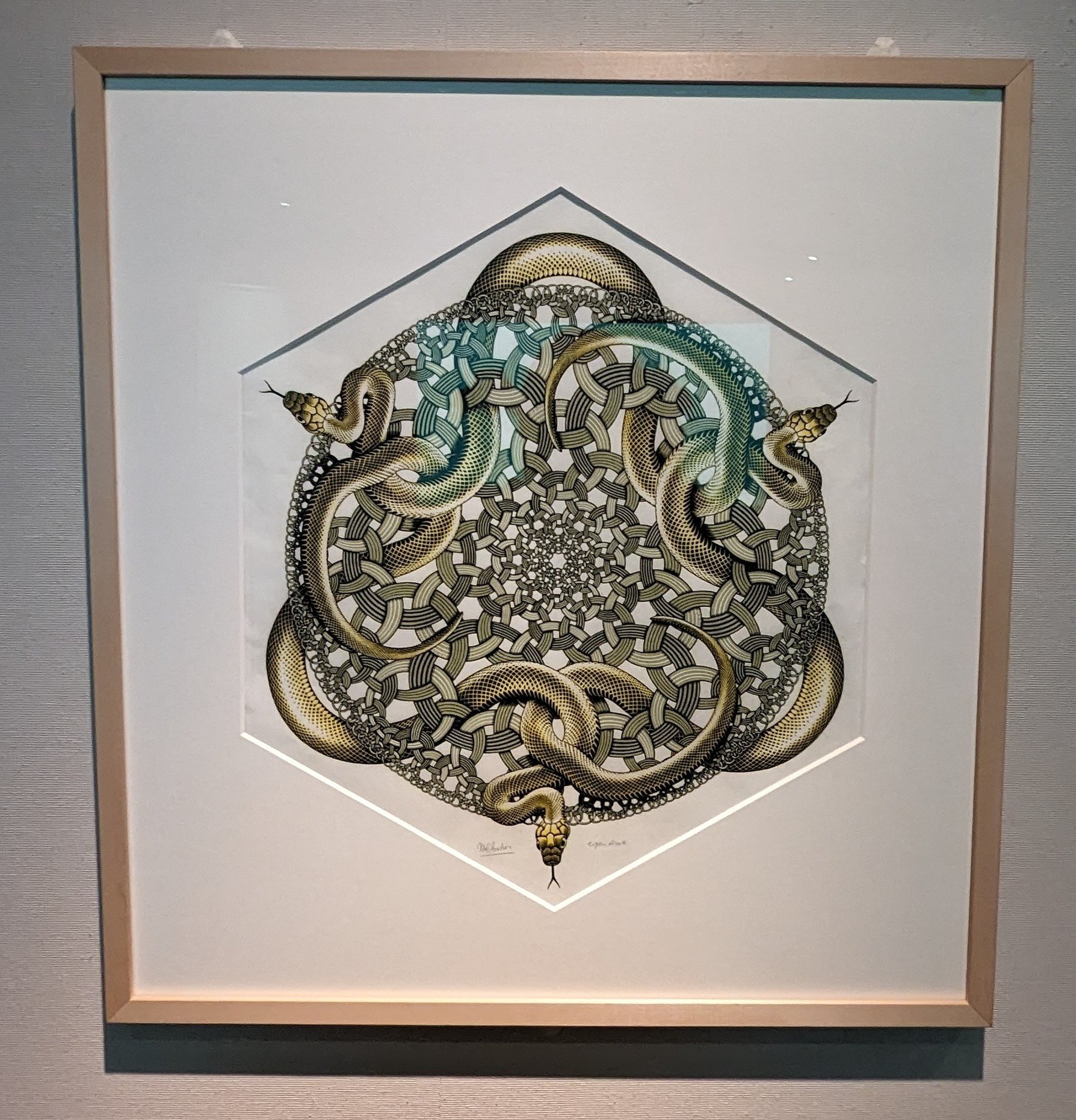 エッシャー 不思議のヒミツ｜綾小路