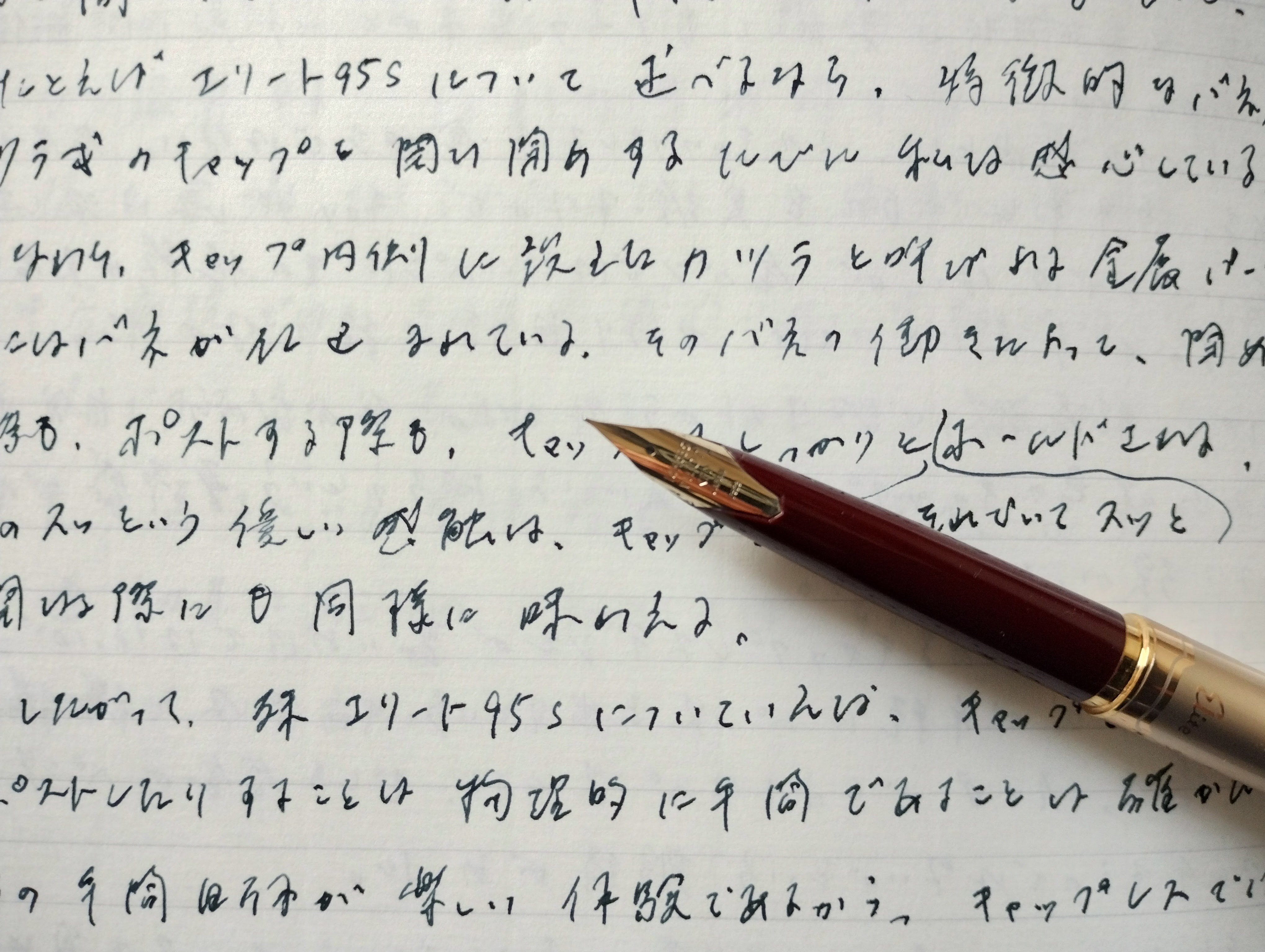 PILOT 万年筆 Elite エリート ディープレッド デッドストック太さM