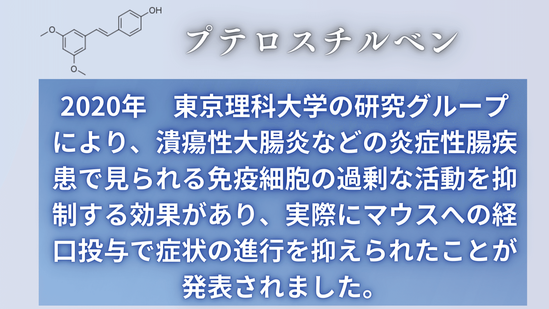 スペルミジンの研究》から生まれたオートファジーを誘発するポリアミン