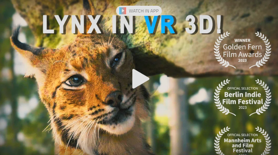 Vro Films (2023.12.31) DeoVR の 2023 年の VR 動画トップ 10|DeoVR JAPAN @ VR動画共有プラットフォーム