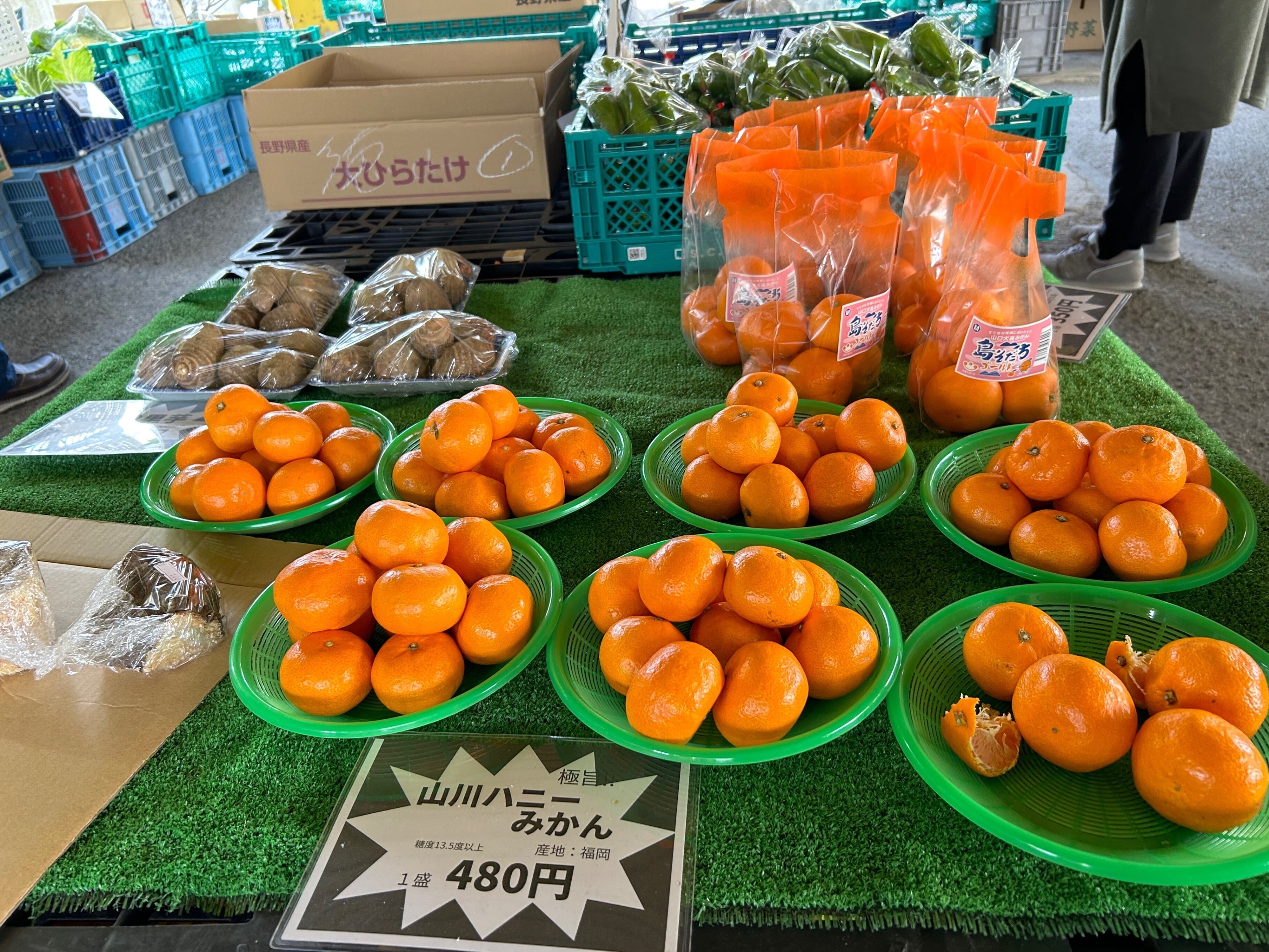 日曜朝市〜地域をささえる台所 /周南市櫛ケ浜｜chii 周南市を書く