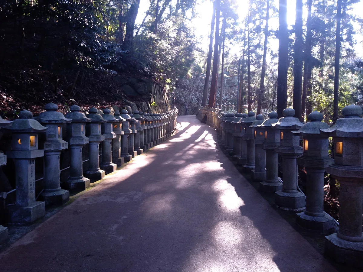 Long distance run to Mt. Ryu-ou (Jan 5, 2024)｜nonnara