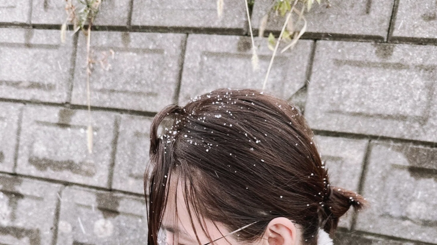 常夏の国の民、人生の初雪を堪能す｜SHIOとんび