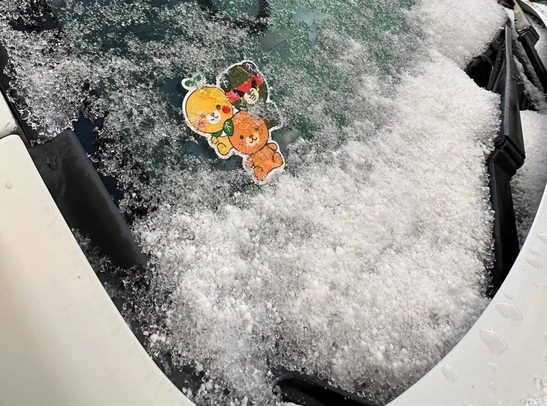 常夏の国の民、人生の初雪を堪能す｜SHIOとんび
