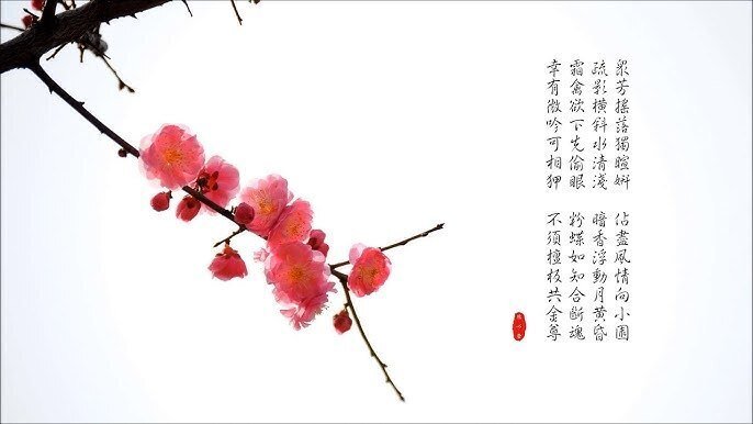 心に響く漢詩】北宋・林逋「山園小梅」～「疎影」と「暗香」｜泉