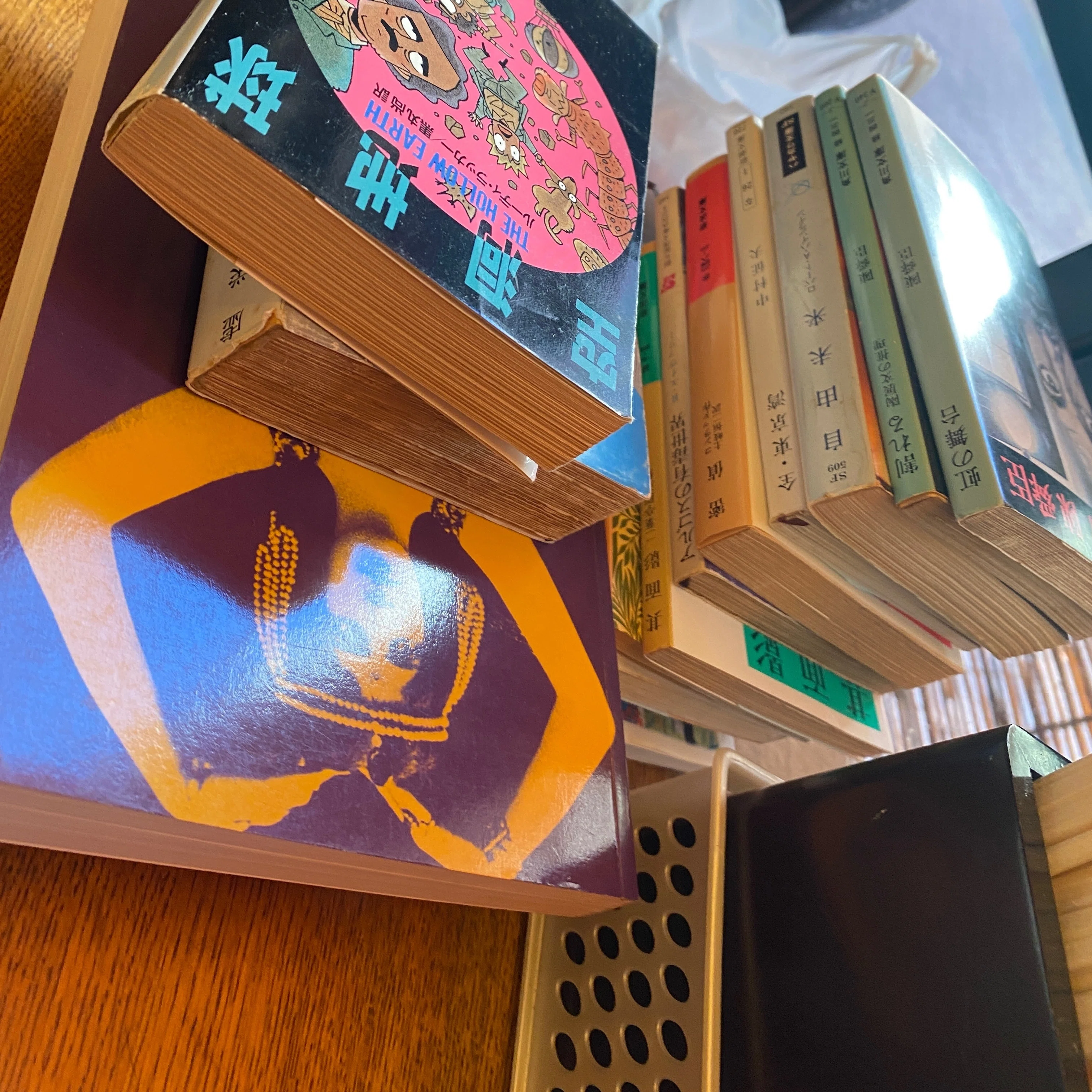 読書コラム】古本まつりで手に入れた岩波書店の校正者のエッセイが