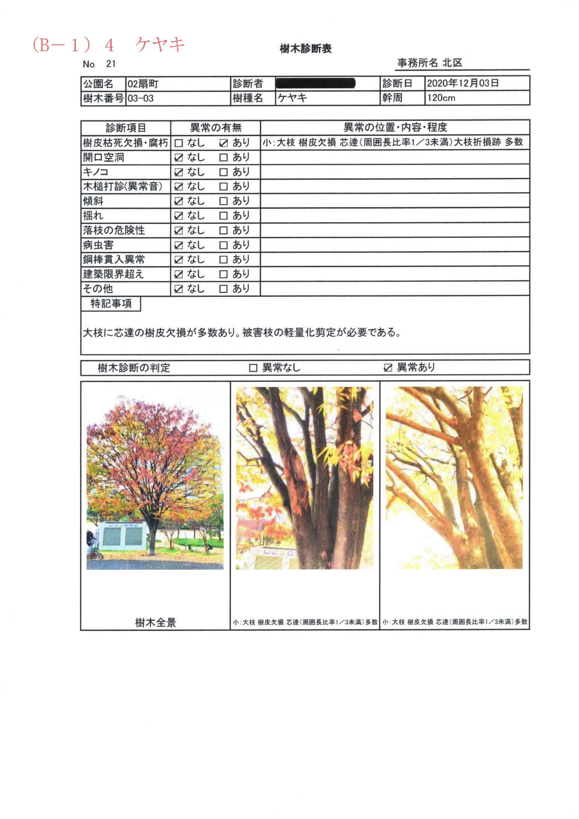 私たちは、なぜ扇町公園のケヤキの伐採に反対するのか？（＃STOP大阪市