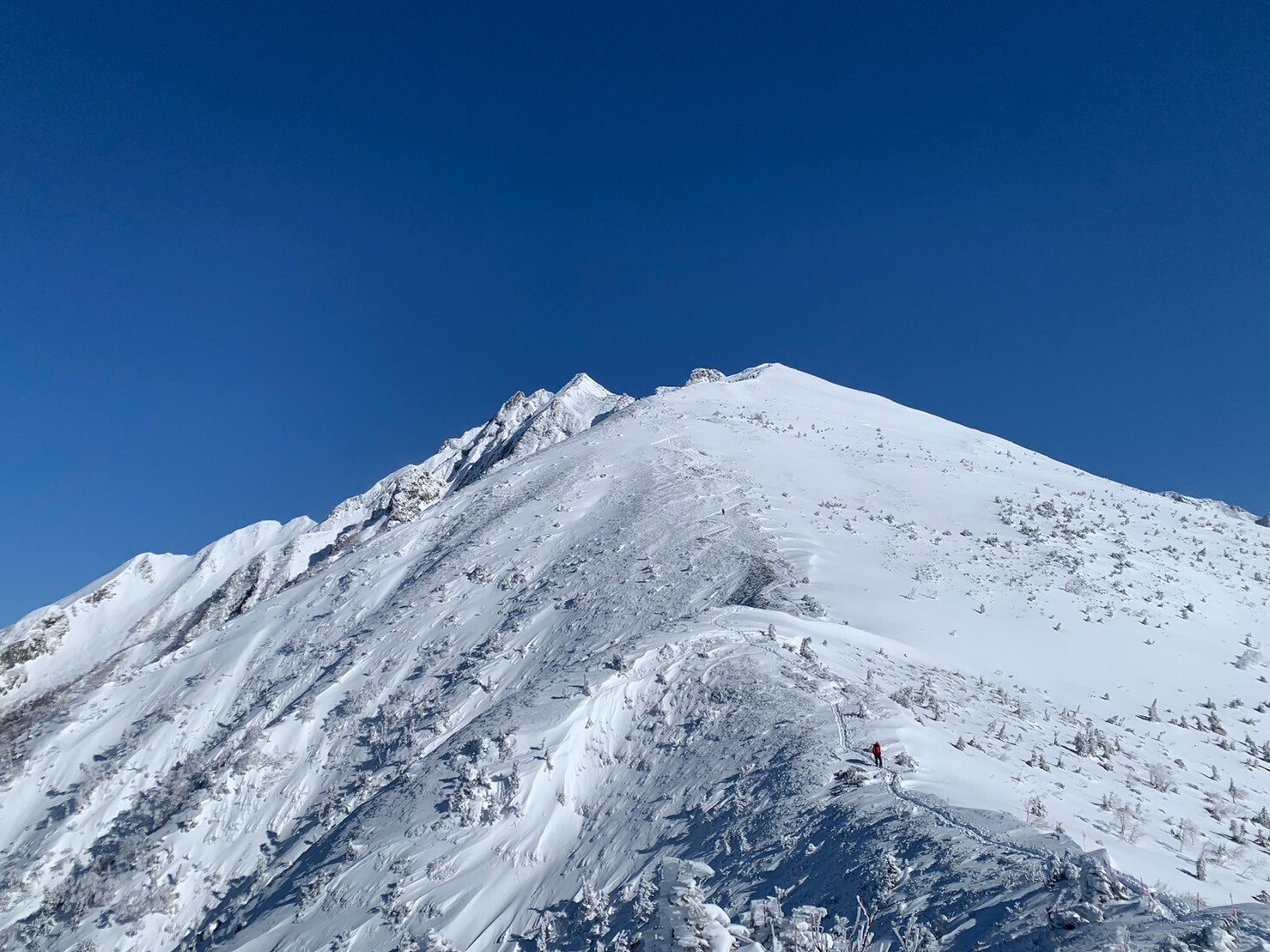 ゆきそら EXO トレカ EXO チャニョル トレカ bird 限定 2025年最新】exo