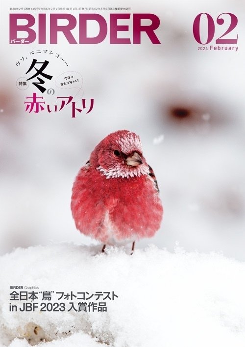 lrik　BIRDER 鳥類観察 2023.1～2024.8 lrik BIRDER 鳥類観察 2023.1～2024.8 lrik BIRDER 鳥類観察