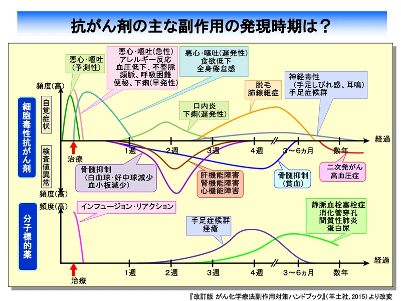 乳がん治療【2】化学療法・ec療法します｜音楽で生きていくぽら。 