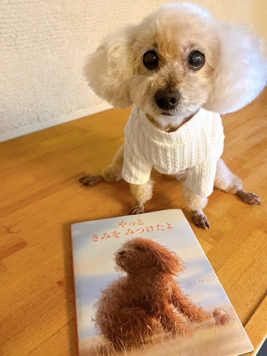 犬と人との絆の物語『やっと きみを みつけたよ』発売｜パイ