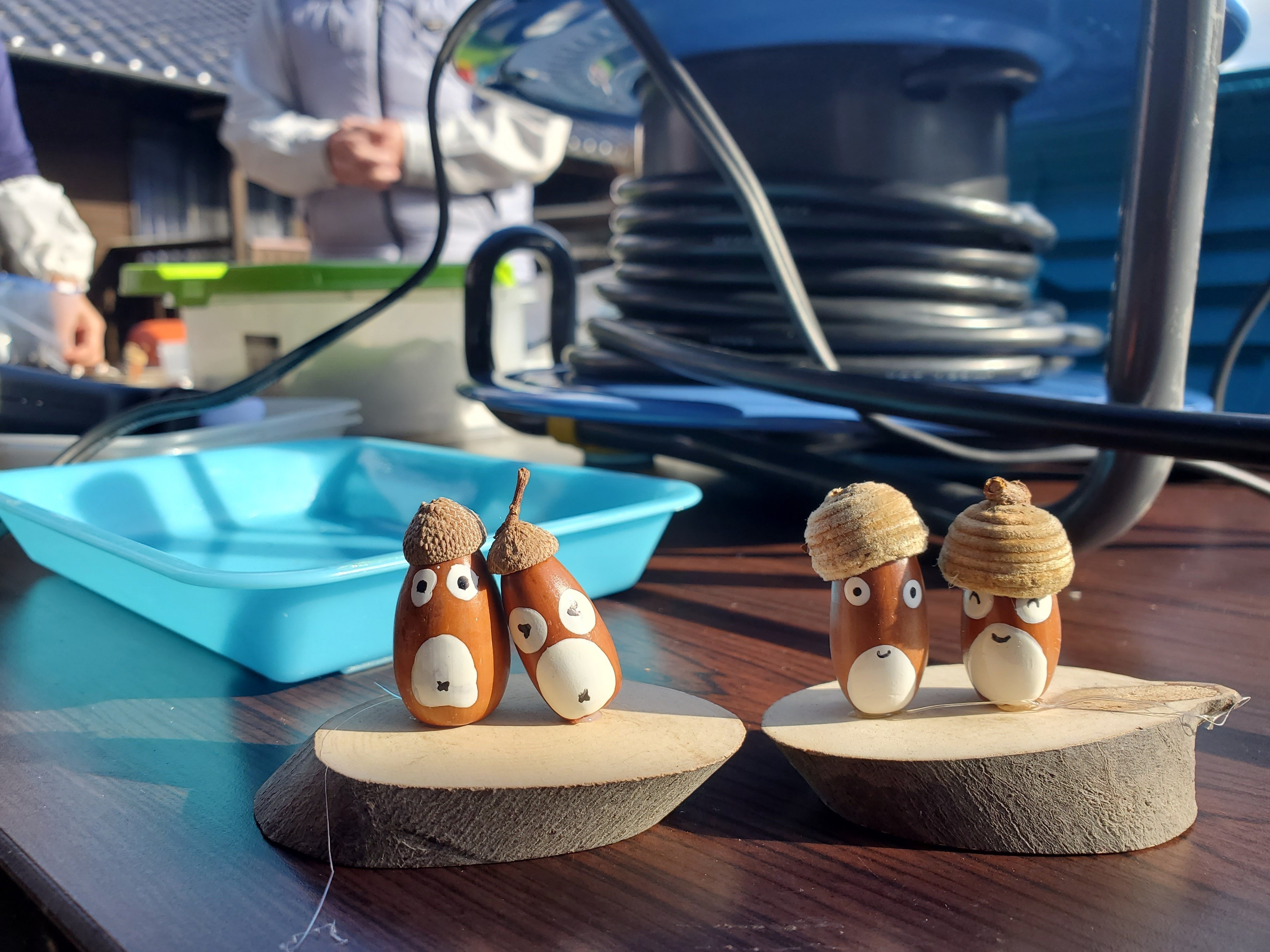 おおくまふるさと塾のどんぐり細工｜佐藤亜紀(大熊町/Fukushima)