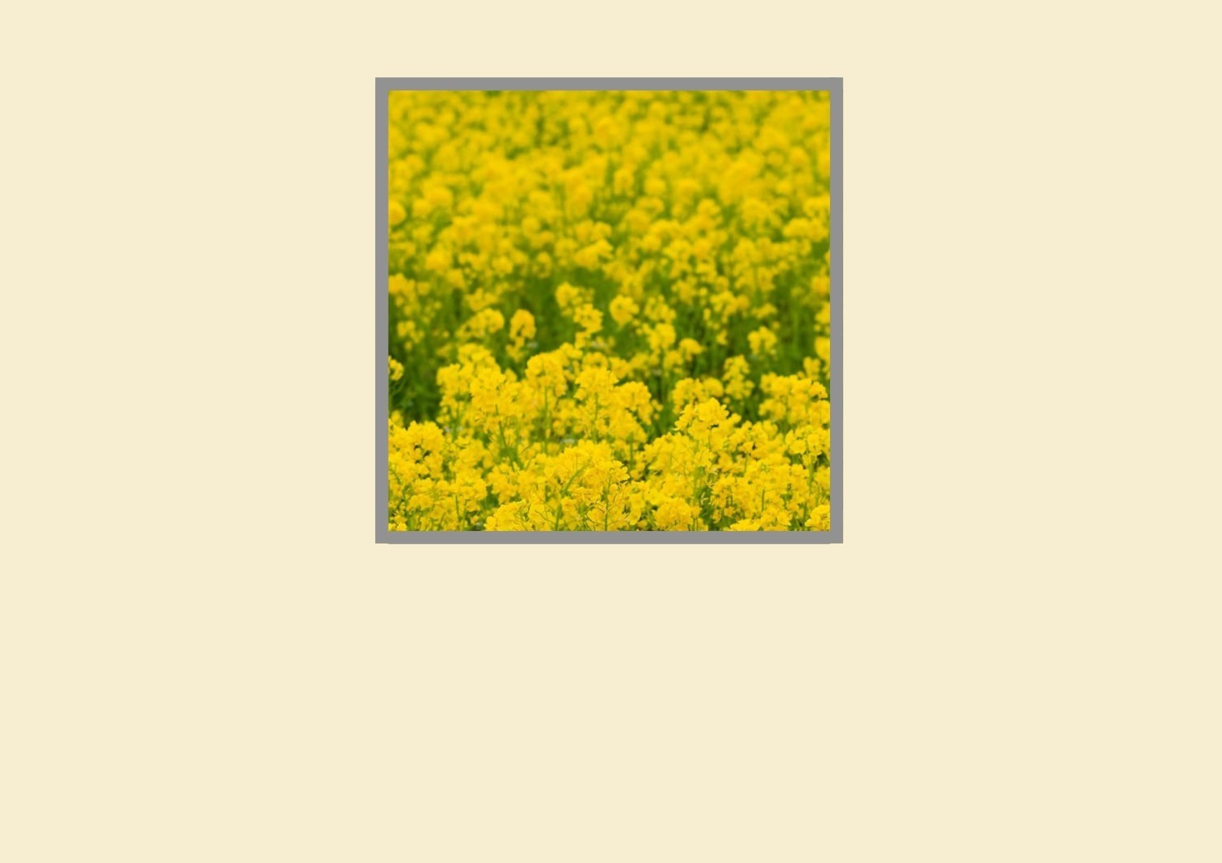 詩は謎｜しゅへ