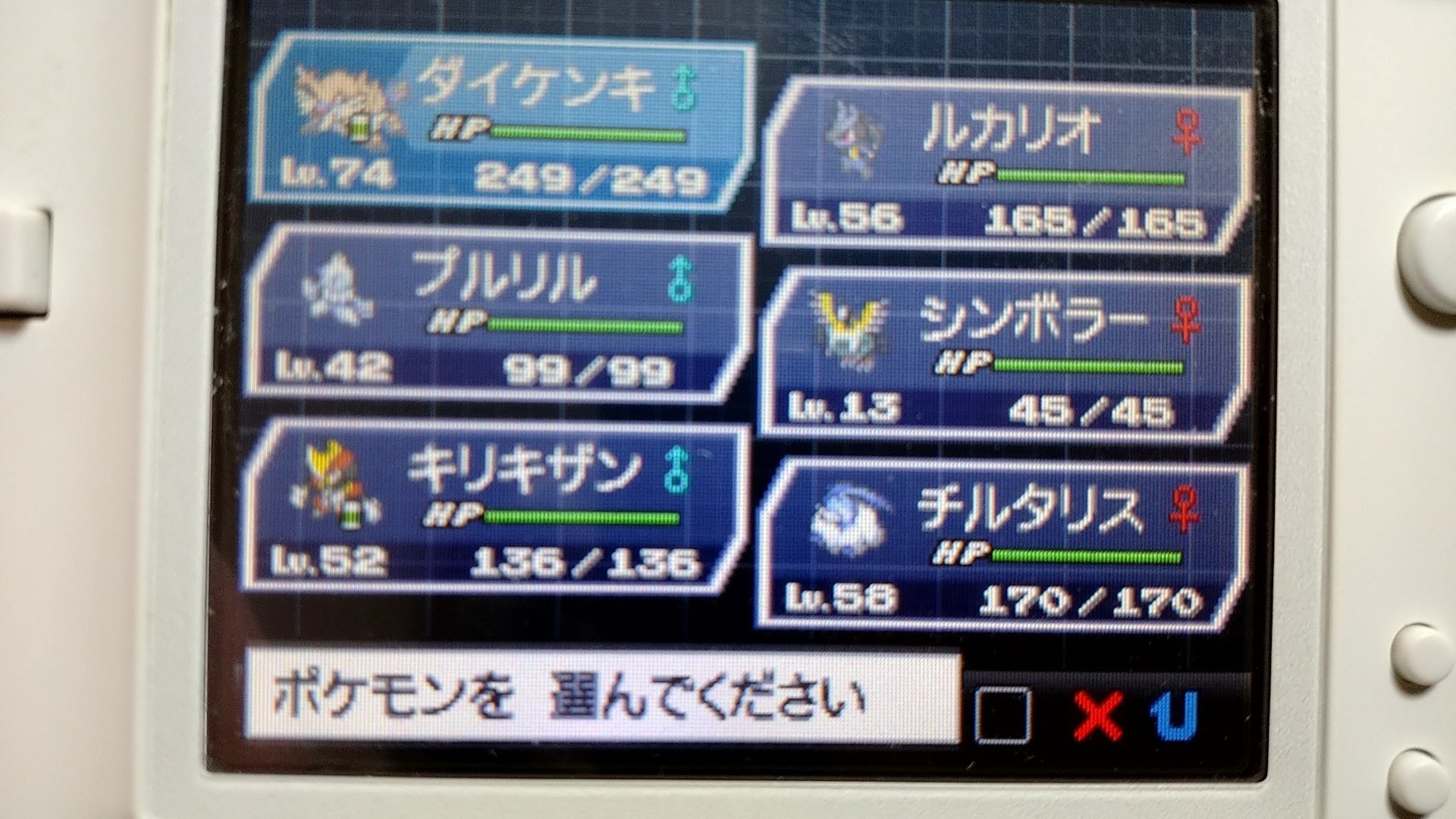 ポケモン HDSS DP プラチナ BW BW2 ポケモン HDSS DP プラチナ BW BW2