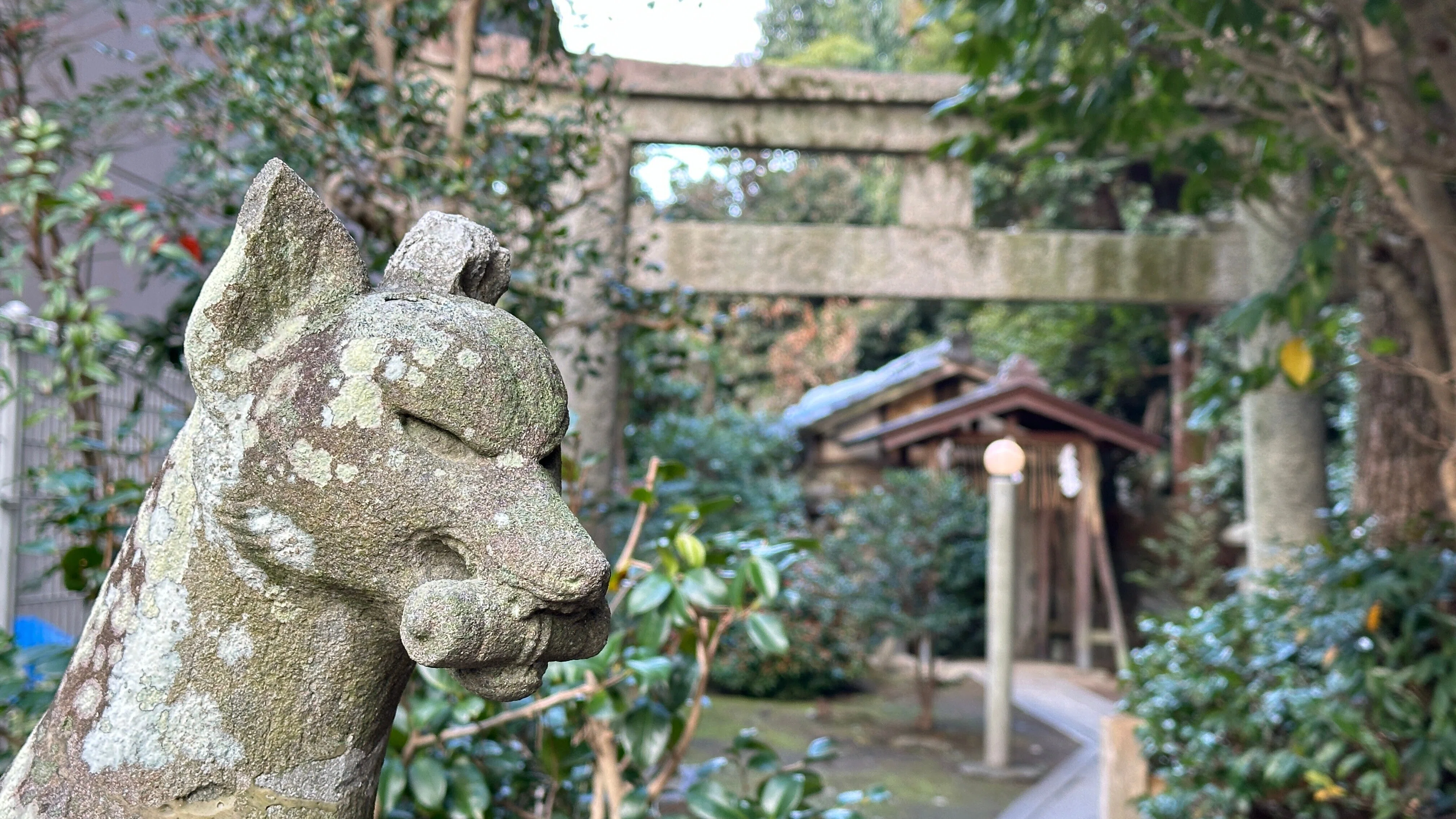京都時間.jp】第26回 京都の静寂な神秘：木嶋坐天照御魂神社の歴史と霊