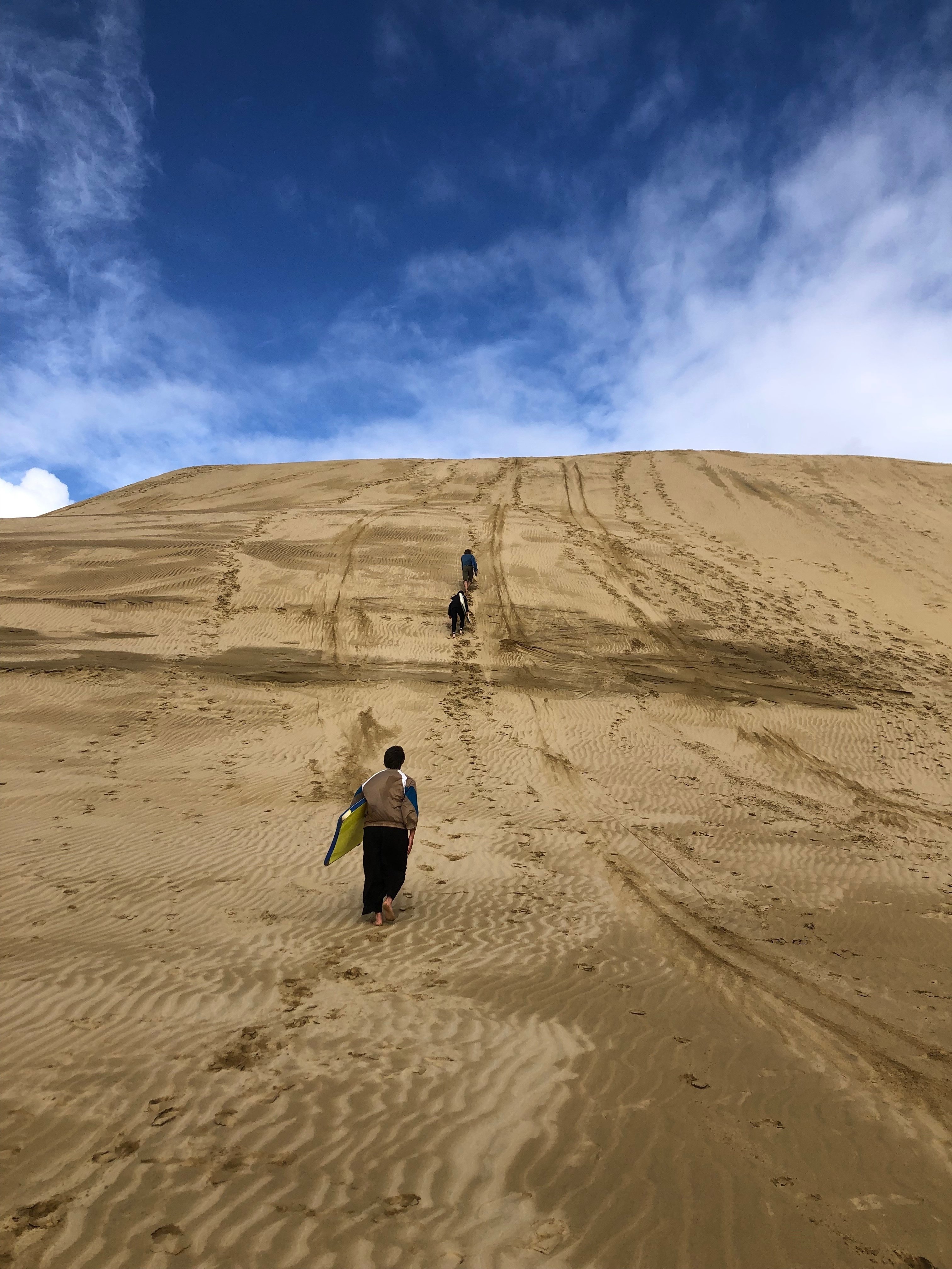 ニュージーランド最北端へ｜にら