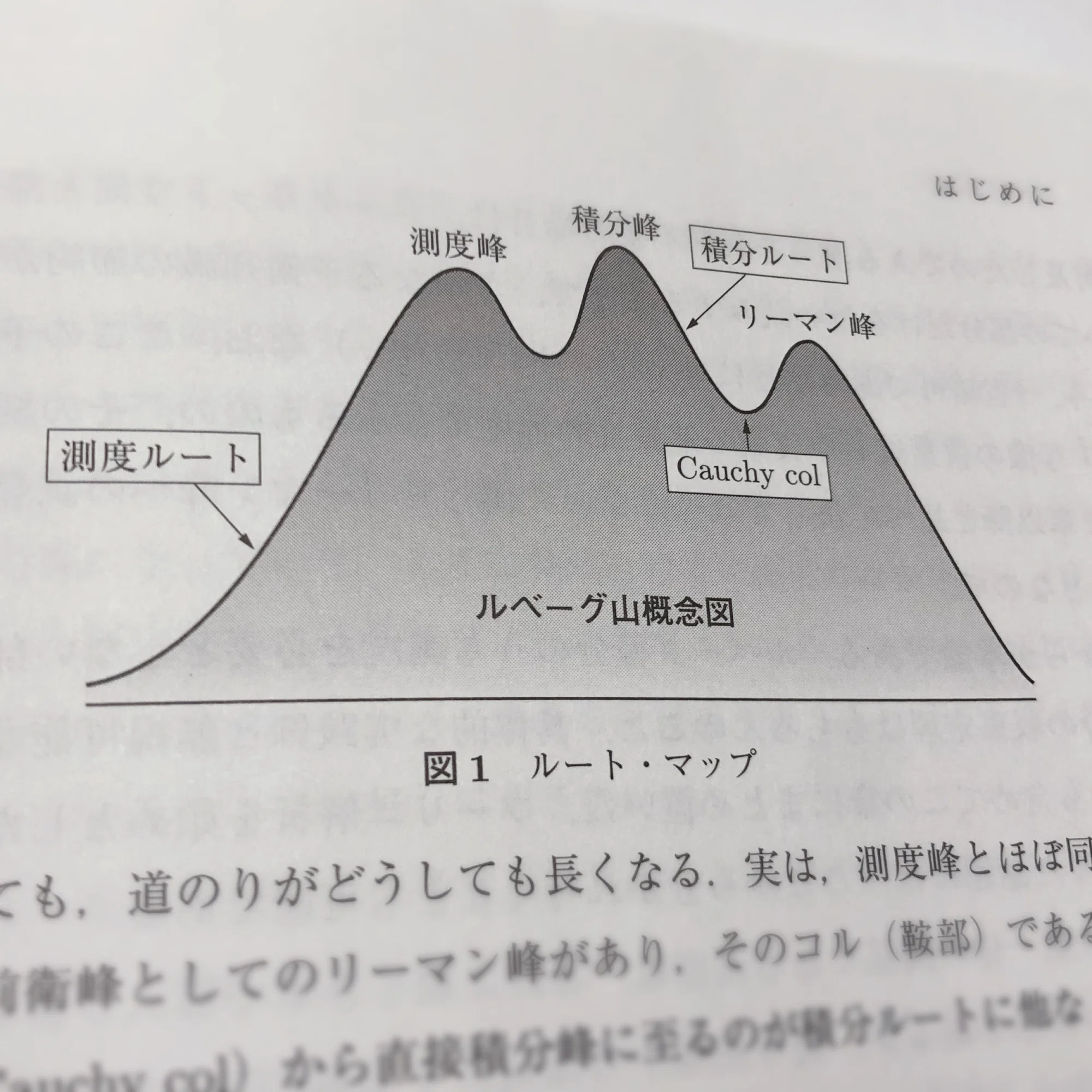 積分論から測度論へ――『数学のとびら ルベーグ積分と測度』｜裳華房 編集部