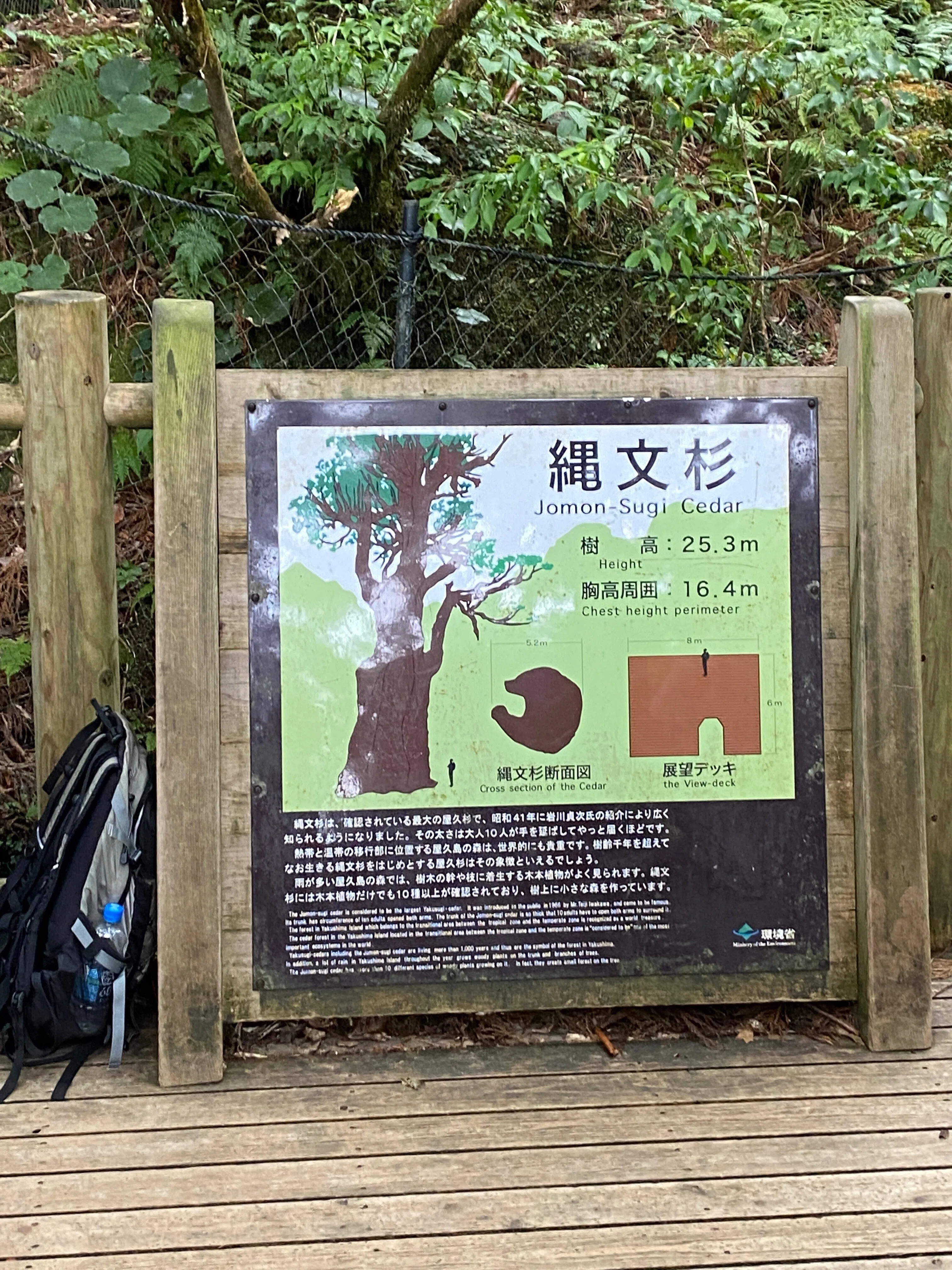 屋久島周遊の旅】一人旅レポート｜GenZee