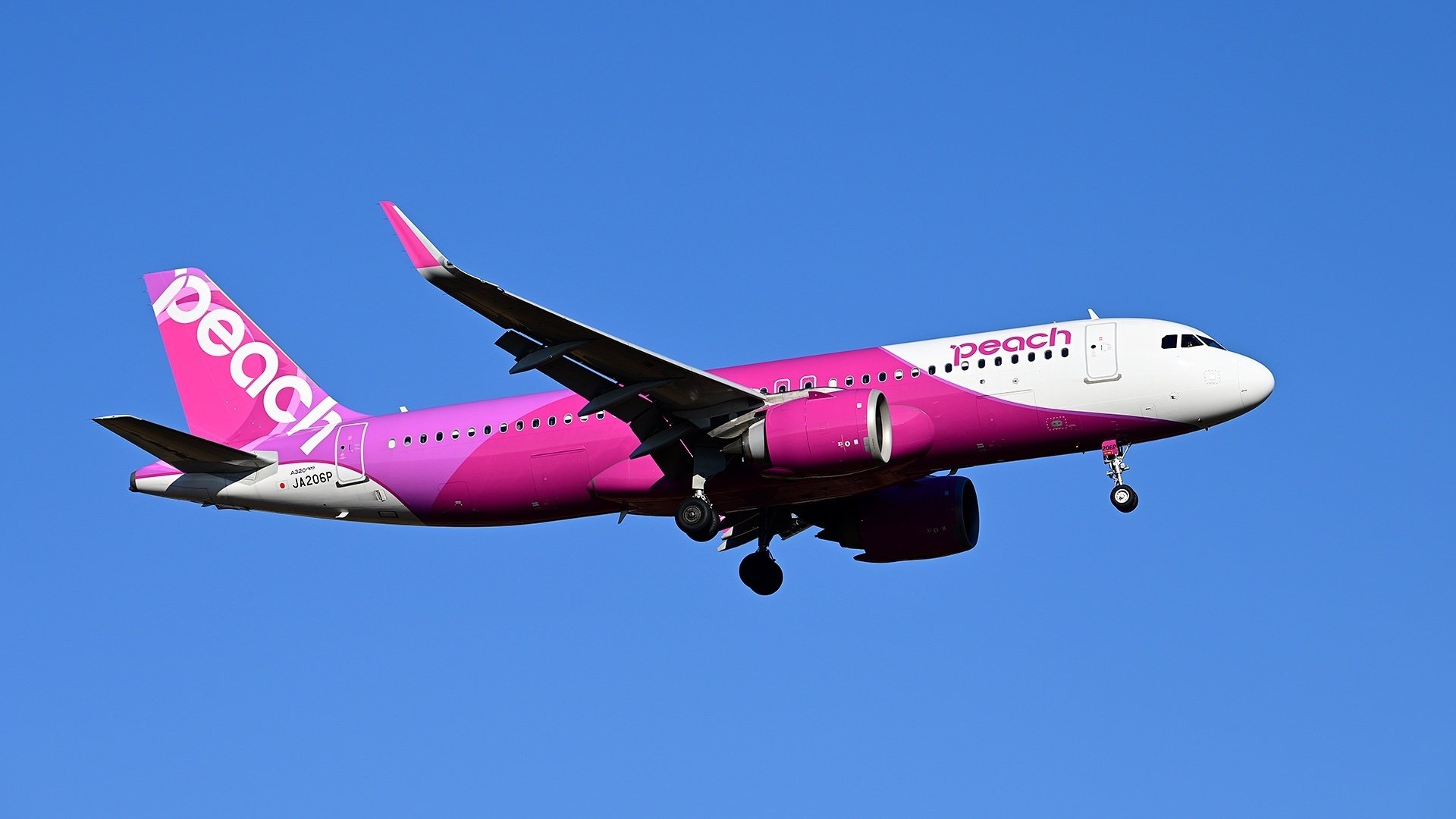 撮りっぱなしでも十分な場合とそうでない場合｜ただのフォトグラファー