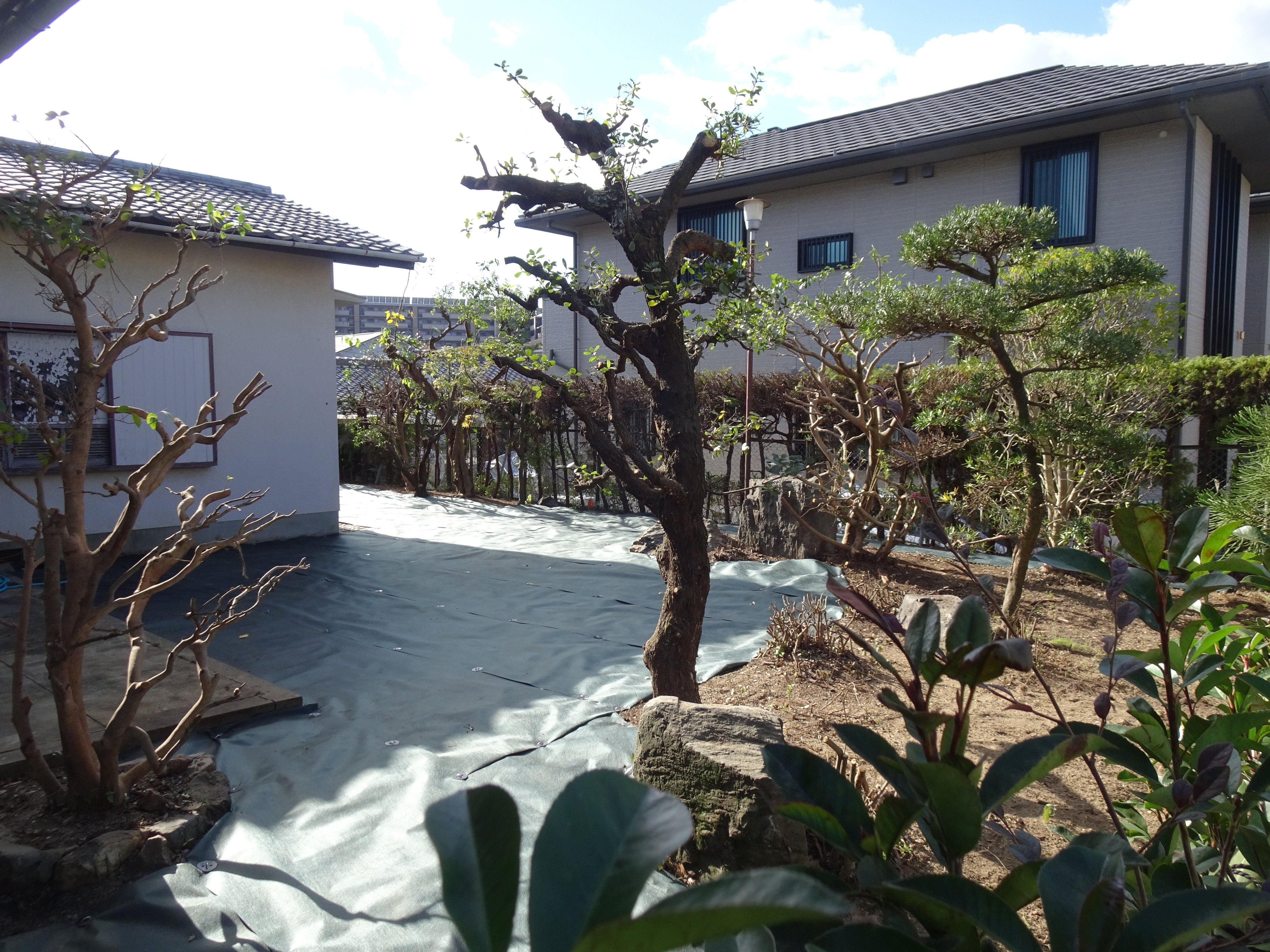庭じまいの実例集1｜雑草